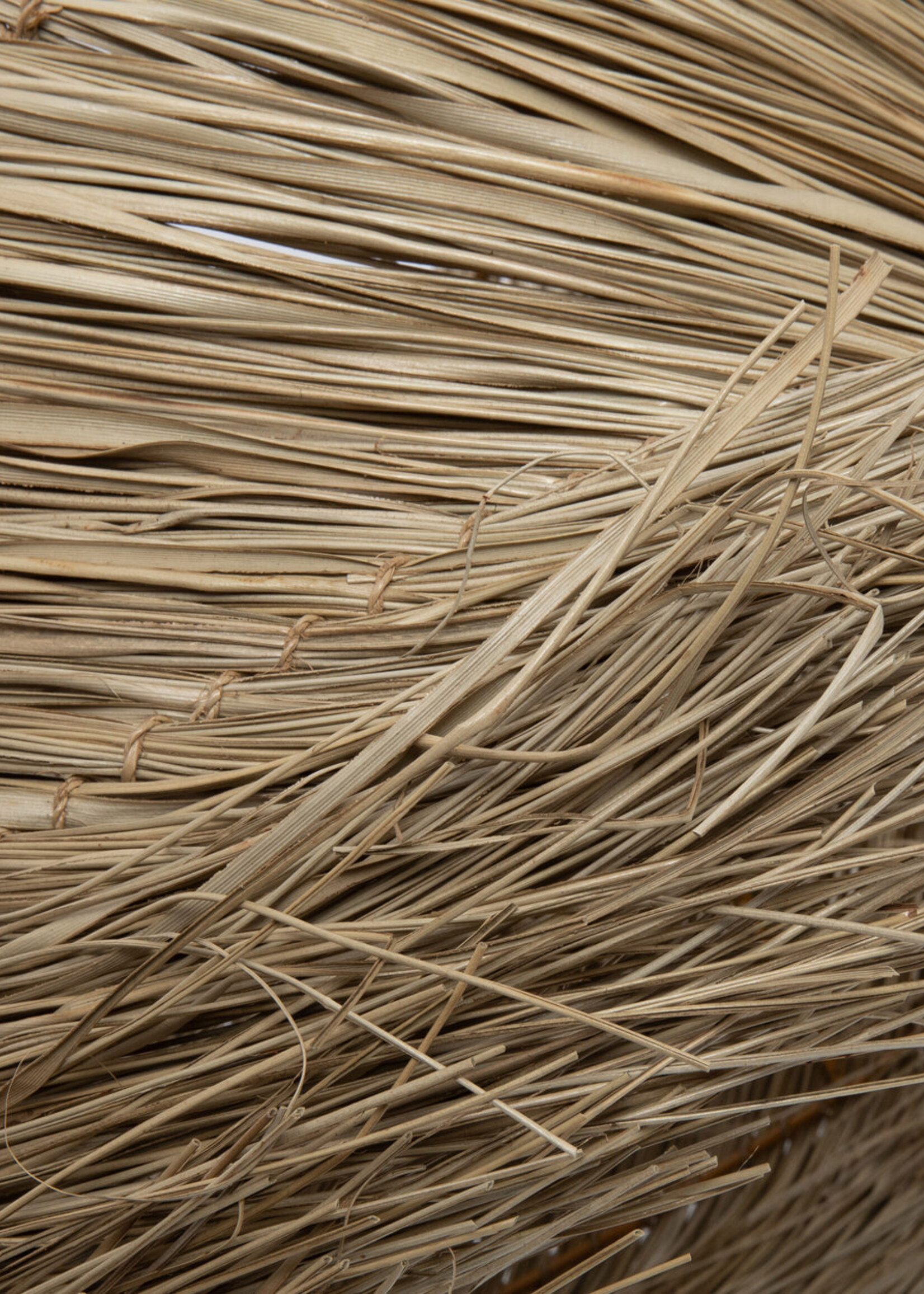 Bazar Bizar Antwerp The Pandan Table Lamp Shade - Natural