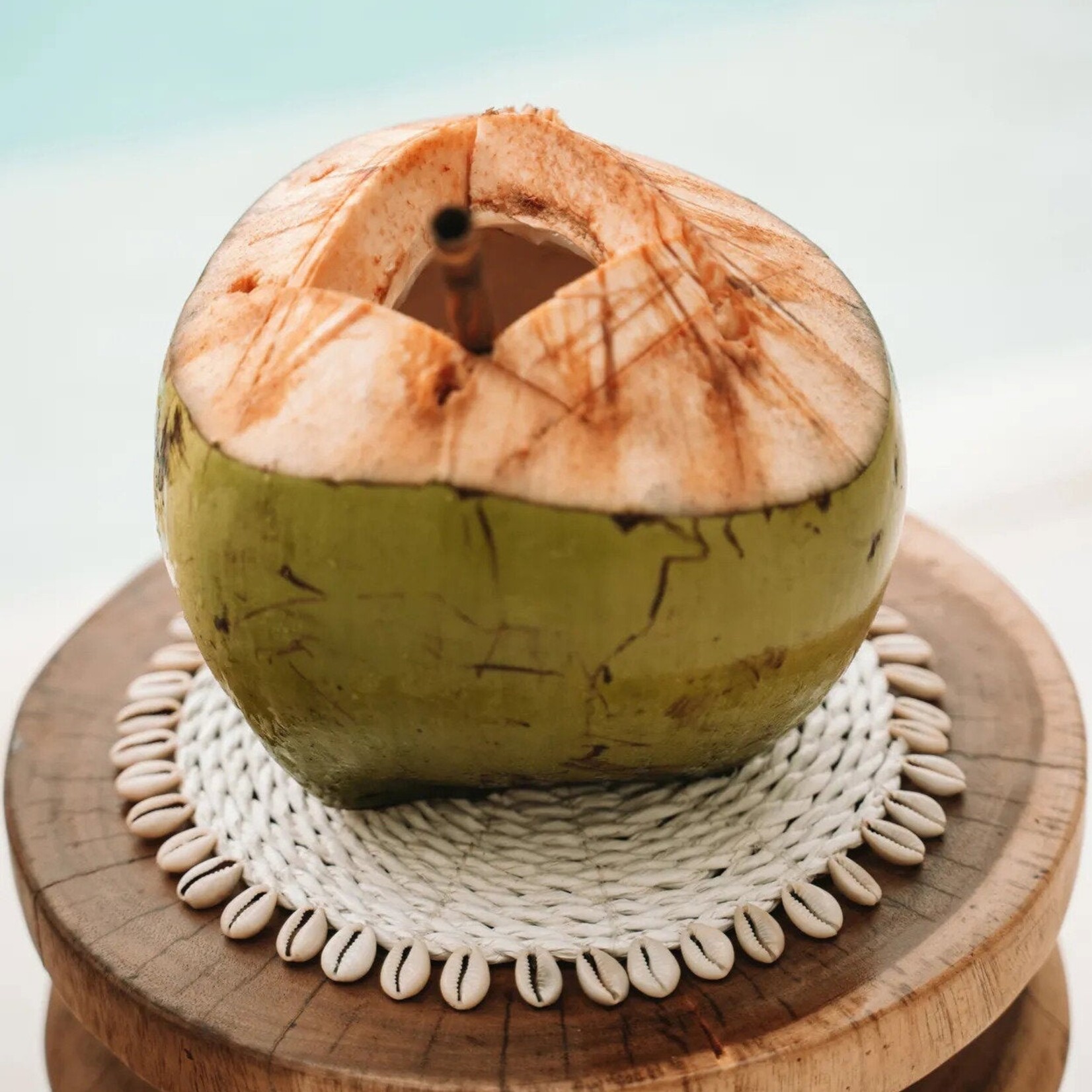 Bazar Bizar Antwerp The Seagrass Shell Pan Coaster - White