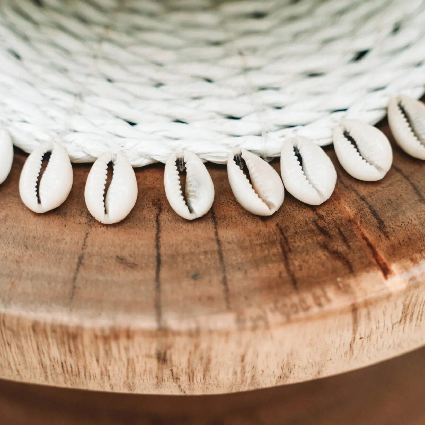 Bazar Bizar Antwerp The Seagrass Shell Pan Coaster - White