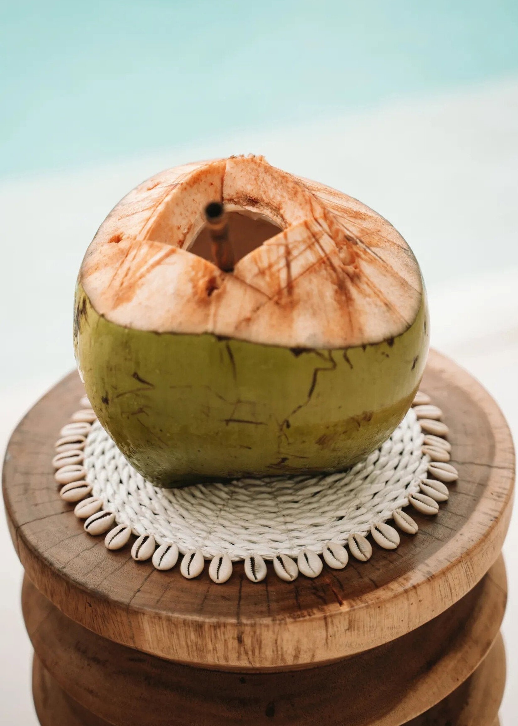 Bazar Bizar Antwerp The Seagrass Shell Pan Coaster - White