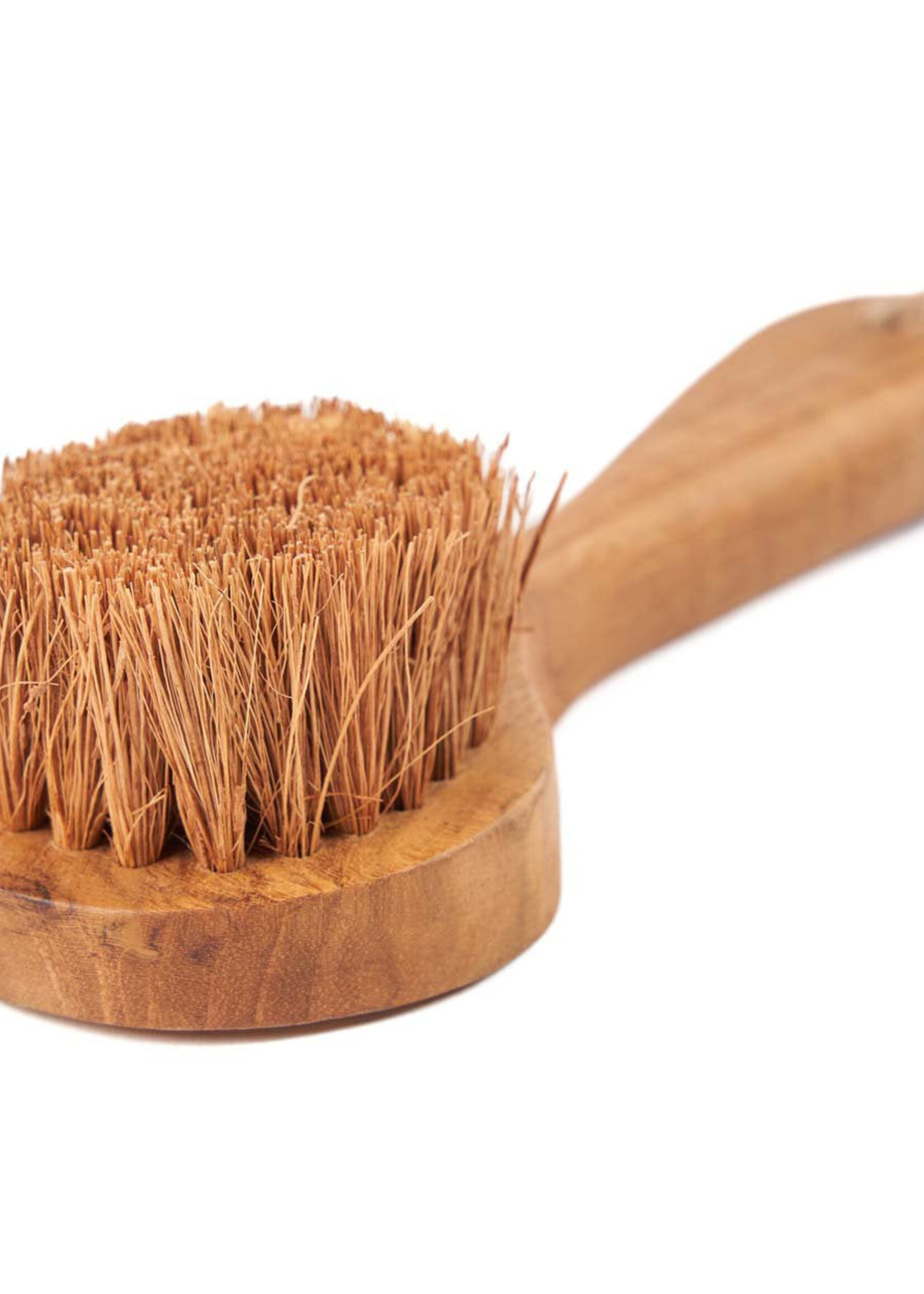 Bazar Bizar Antwerp The Toto Brush - Natural
