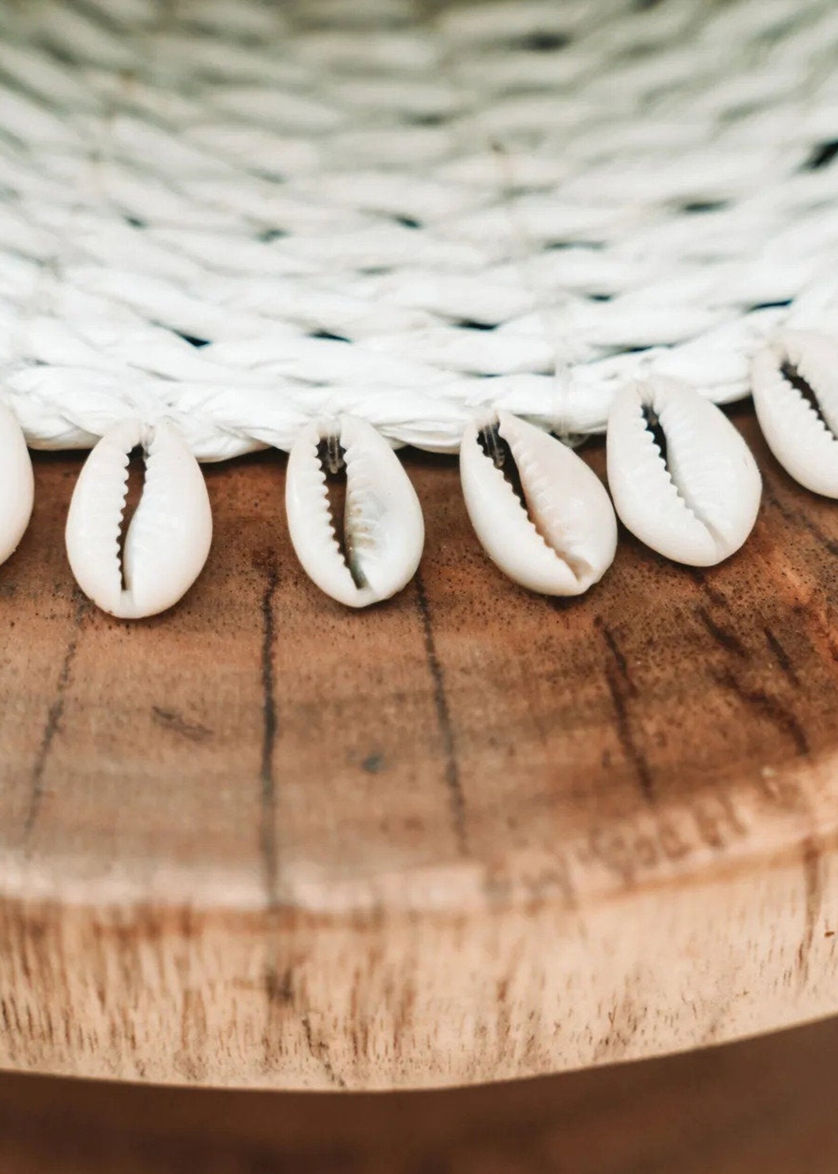 Bazar Bizar Antwerp The Seagrass Shell Pan Coaster - White
