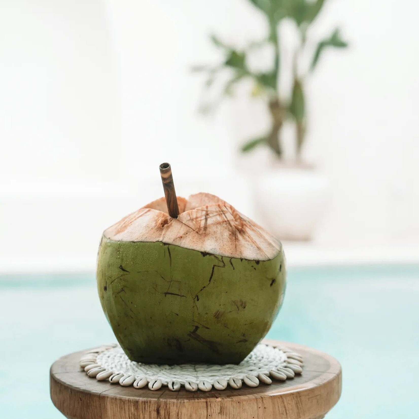 Bazar Bizar Antwerp The Seagrass Shell Pan Coaster - White