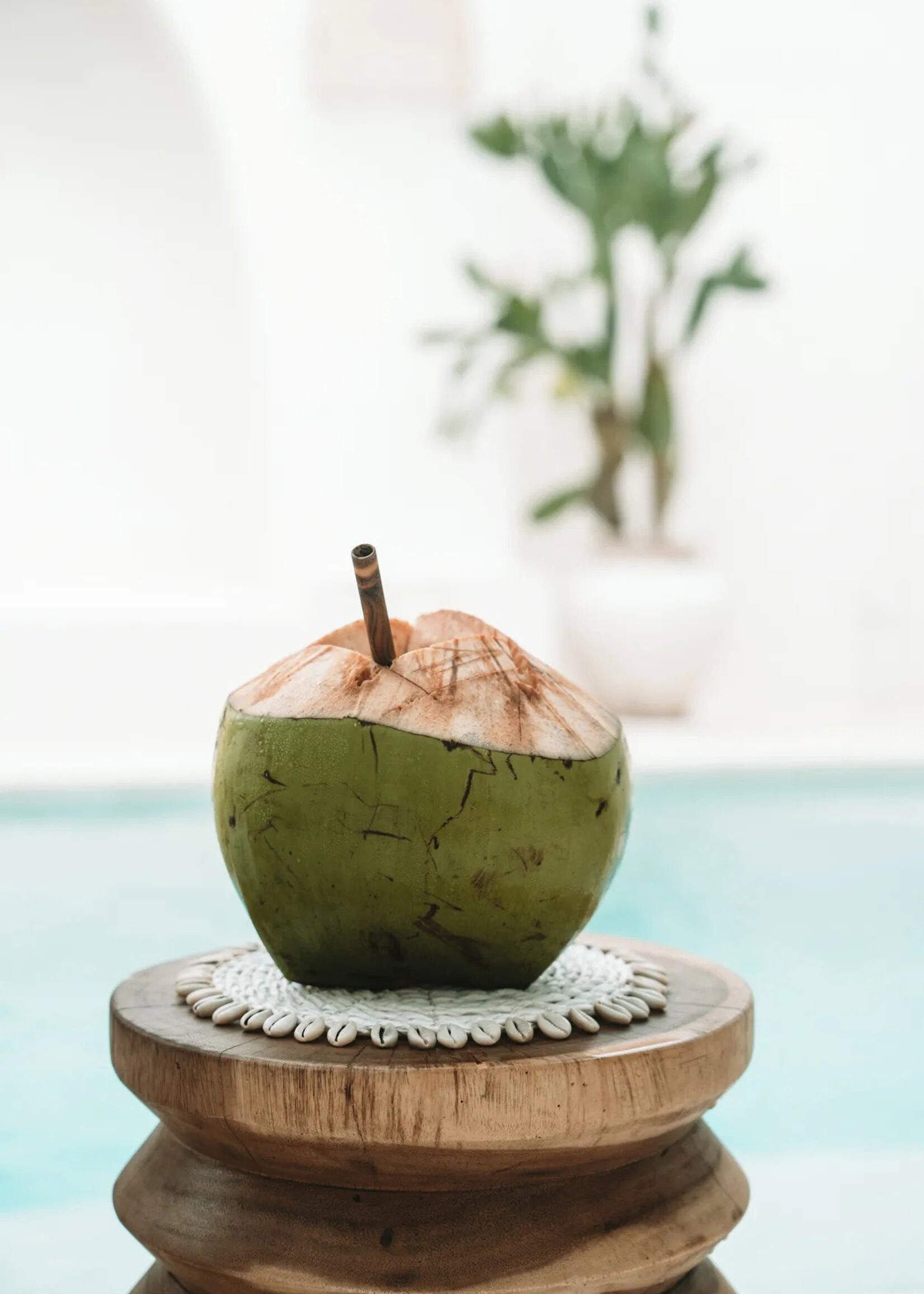Bazar Bizar Antwerp The Seagrass Shell Pan Coaster - White