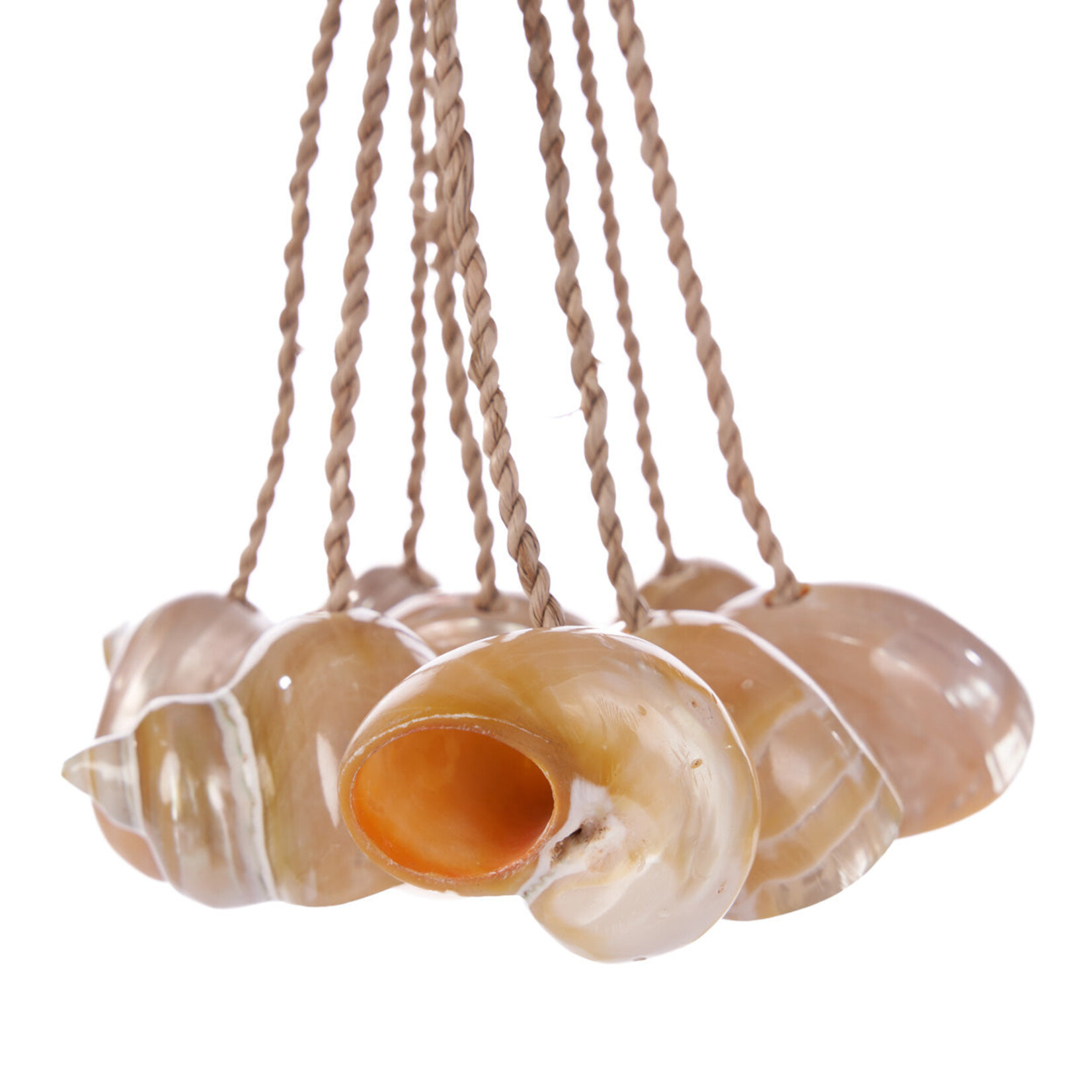 Bazar Bizar Antwerp The Conch Shell Tassel - Natural