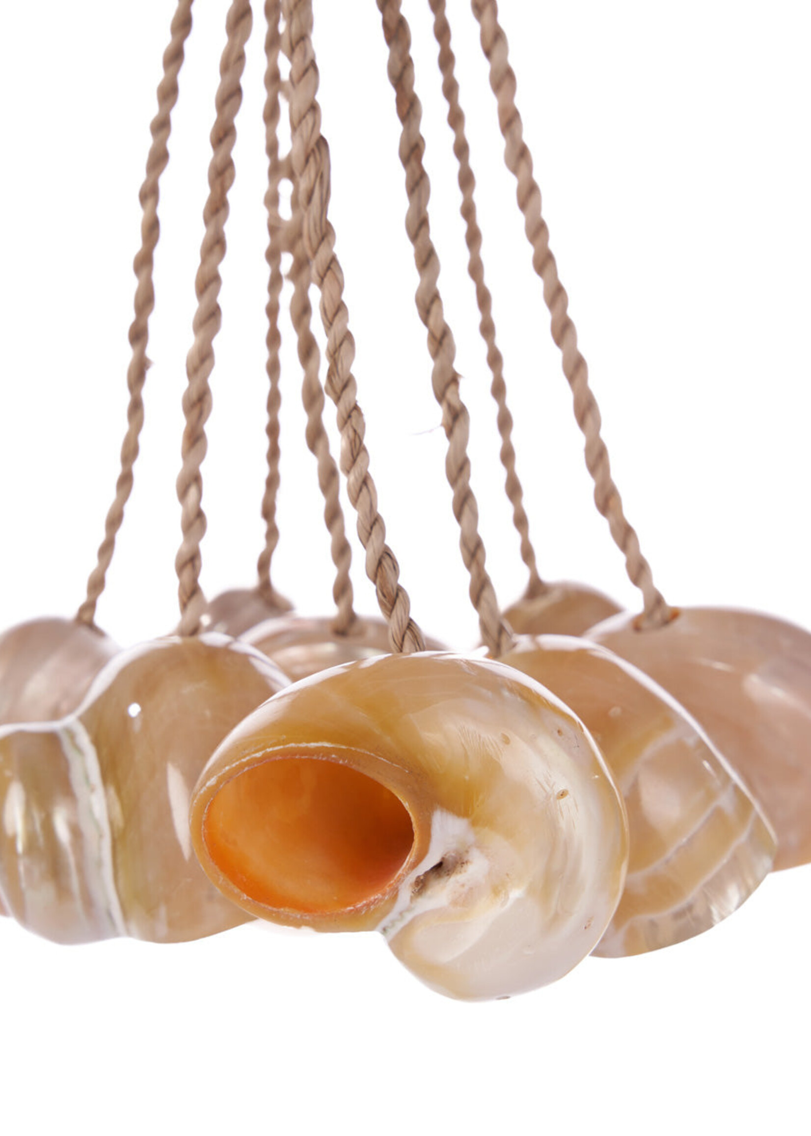 Bazar Bizar Antwerp The Conch Shell Tassel - Natural