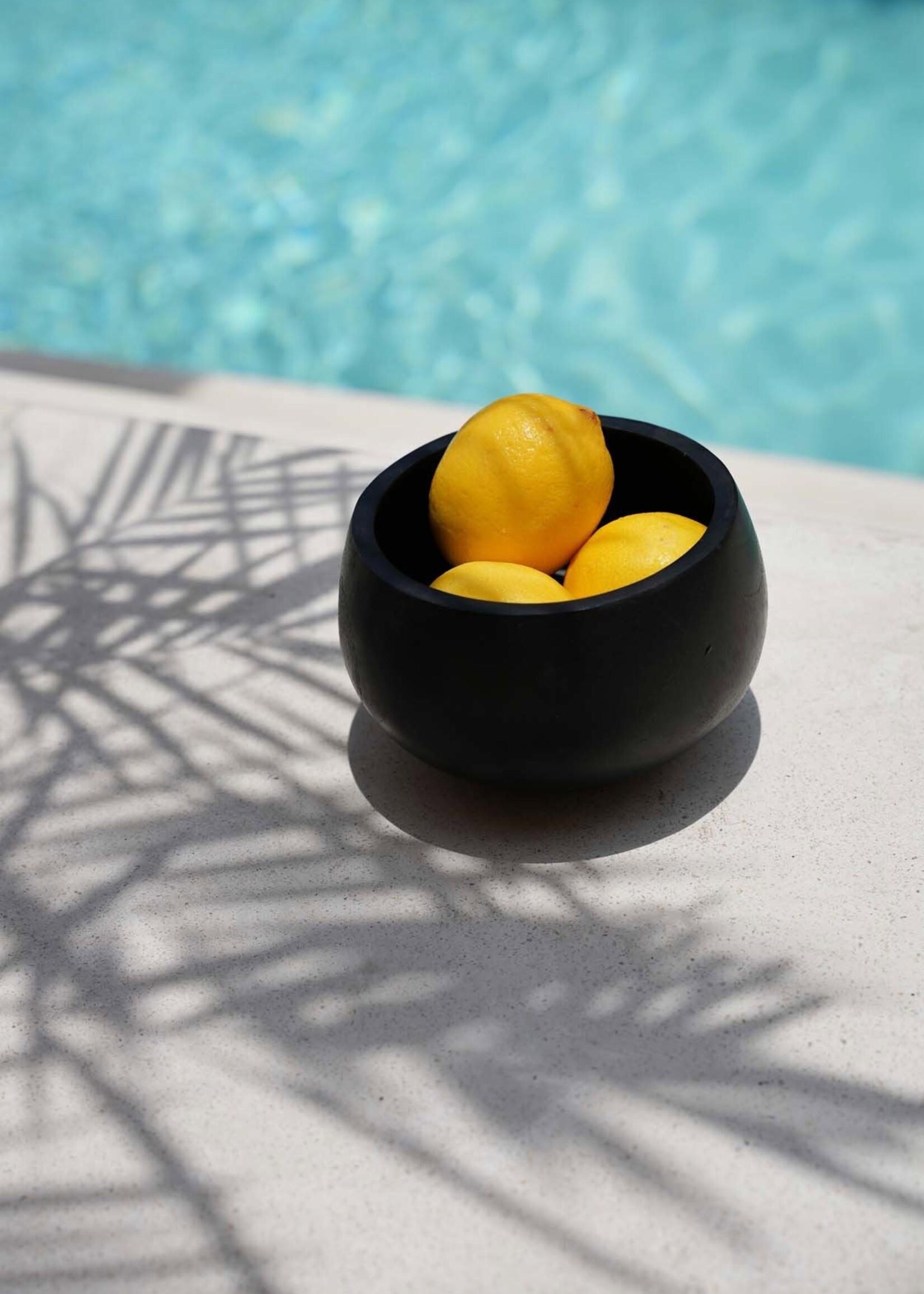 Bazar Bizar Antwerp The Bondi Black Bowl