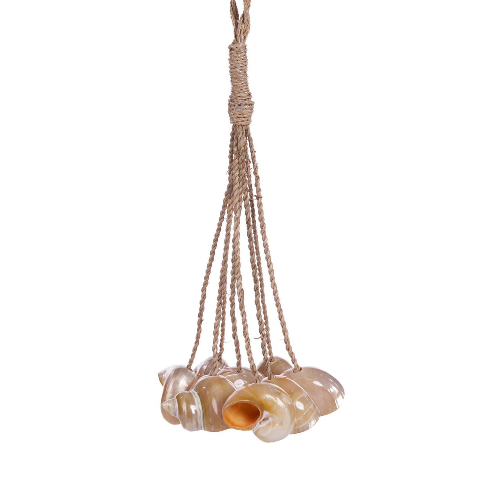 Bazar Bizar Antwerp The Conch Shell Tassel - Natural