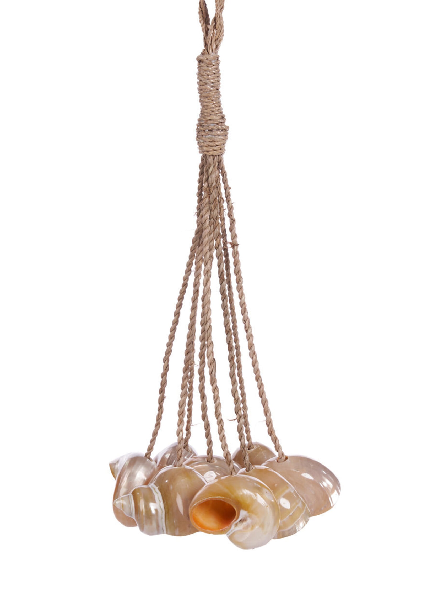 Bazar Bizar Antwerp The Conch Shell Tassel - Natural
