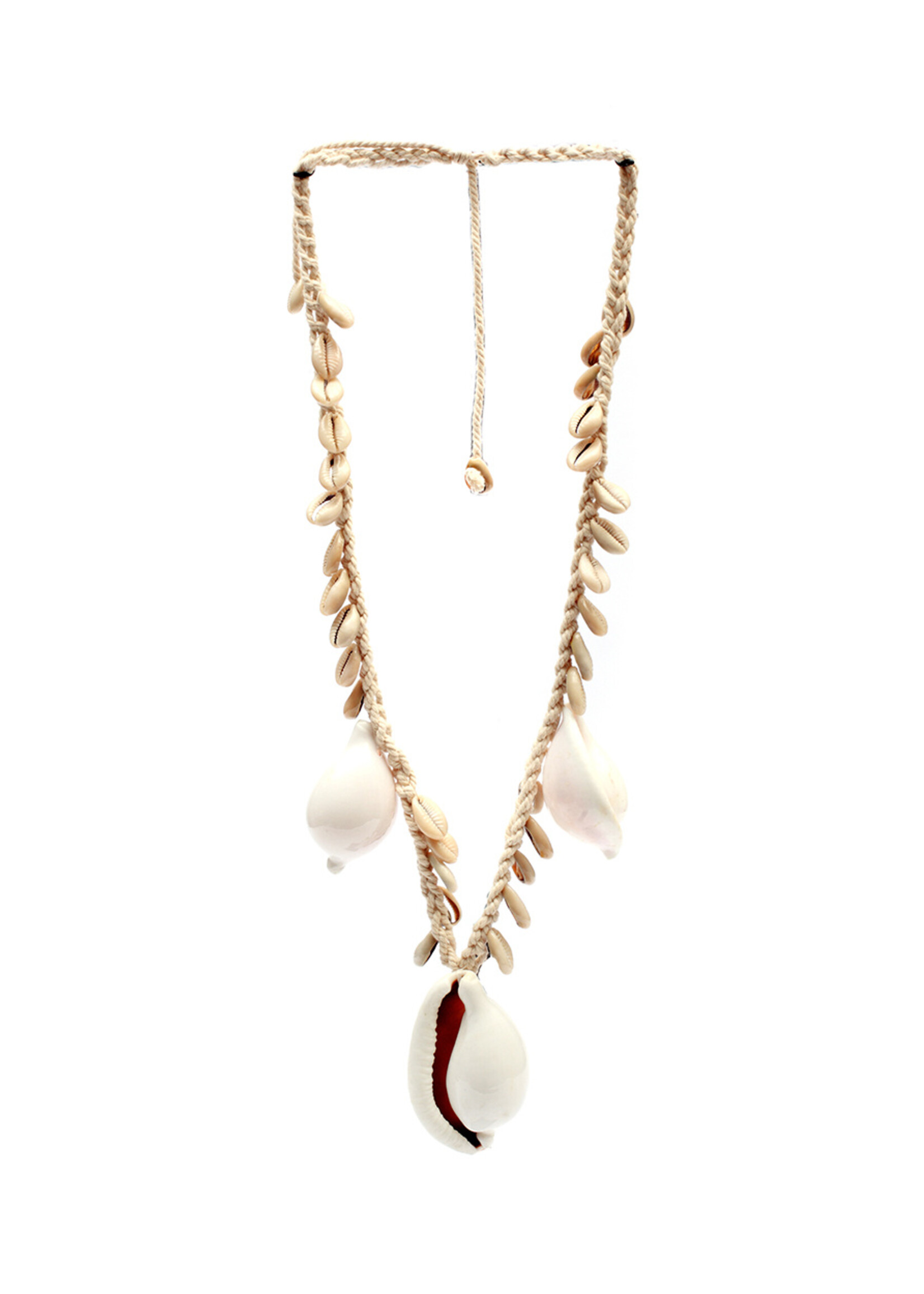 Bazar Bizar Antwerp The Big White Cowrie Shell Necklace