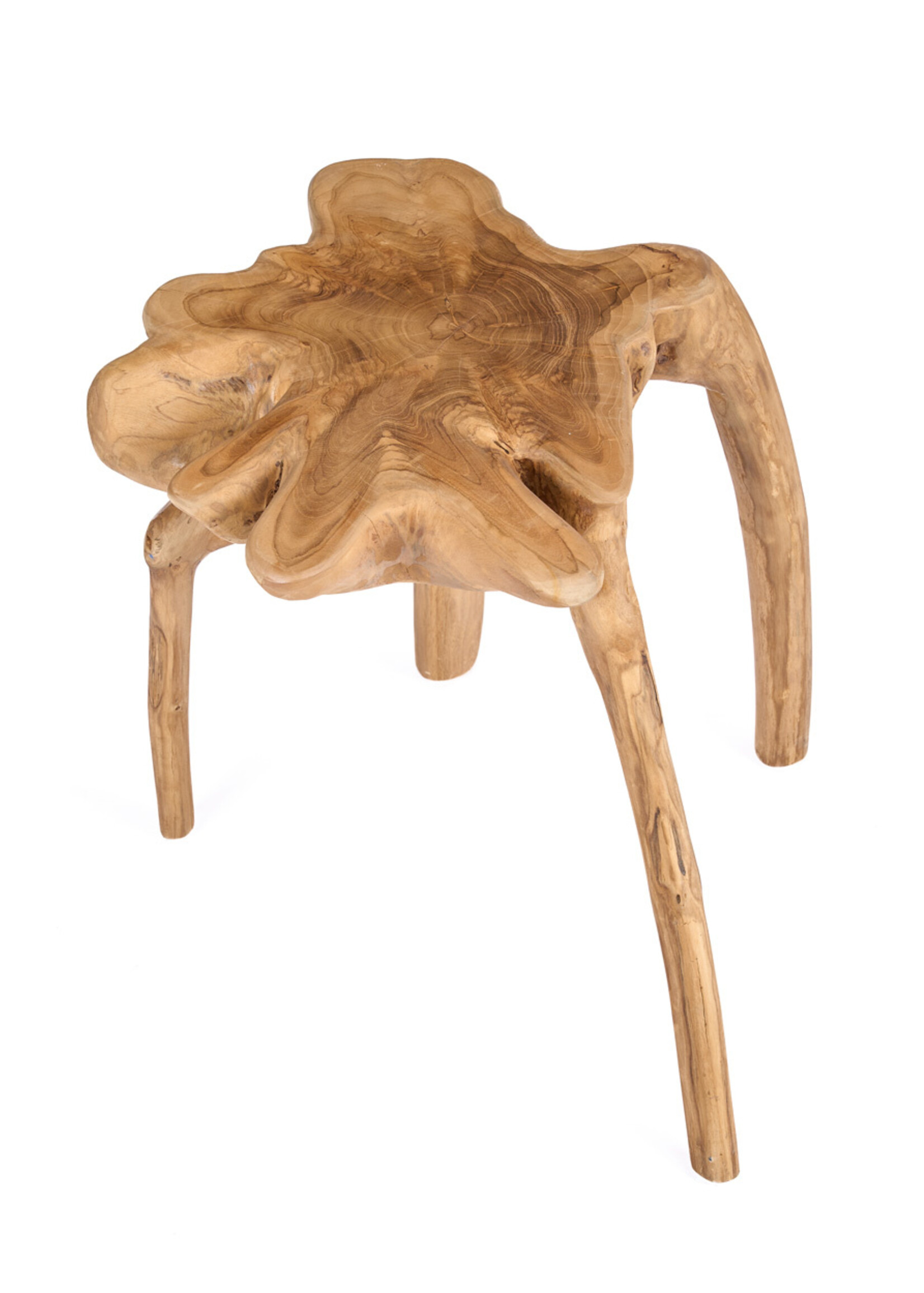 Bazar Bizar Antwerp The Rooty Side Table - Natural