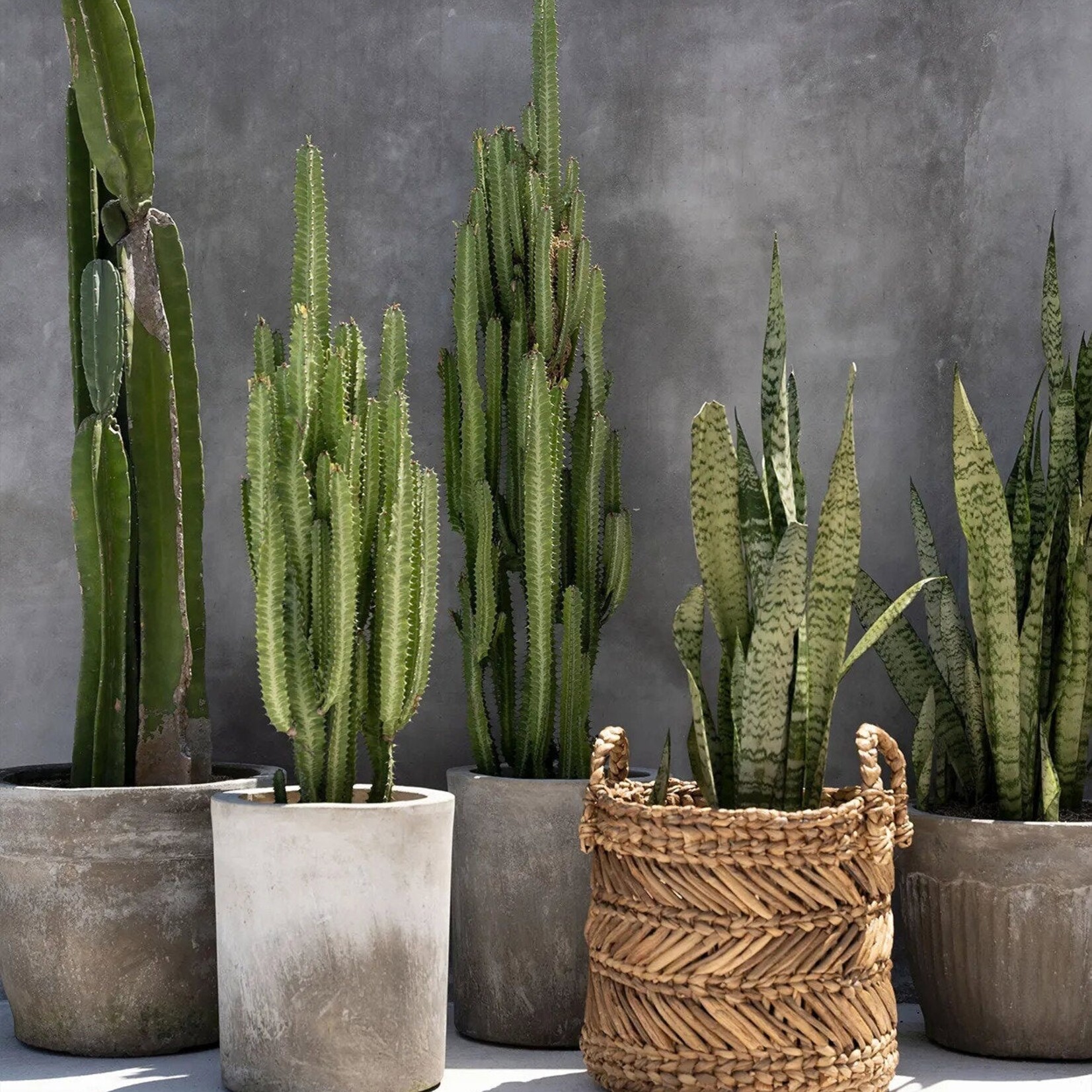 Bazar Bizar Antwerp The Banana Zigzag Basket - M