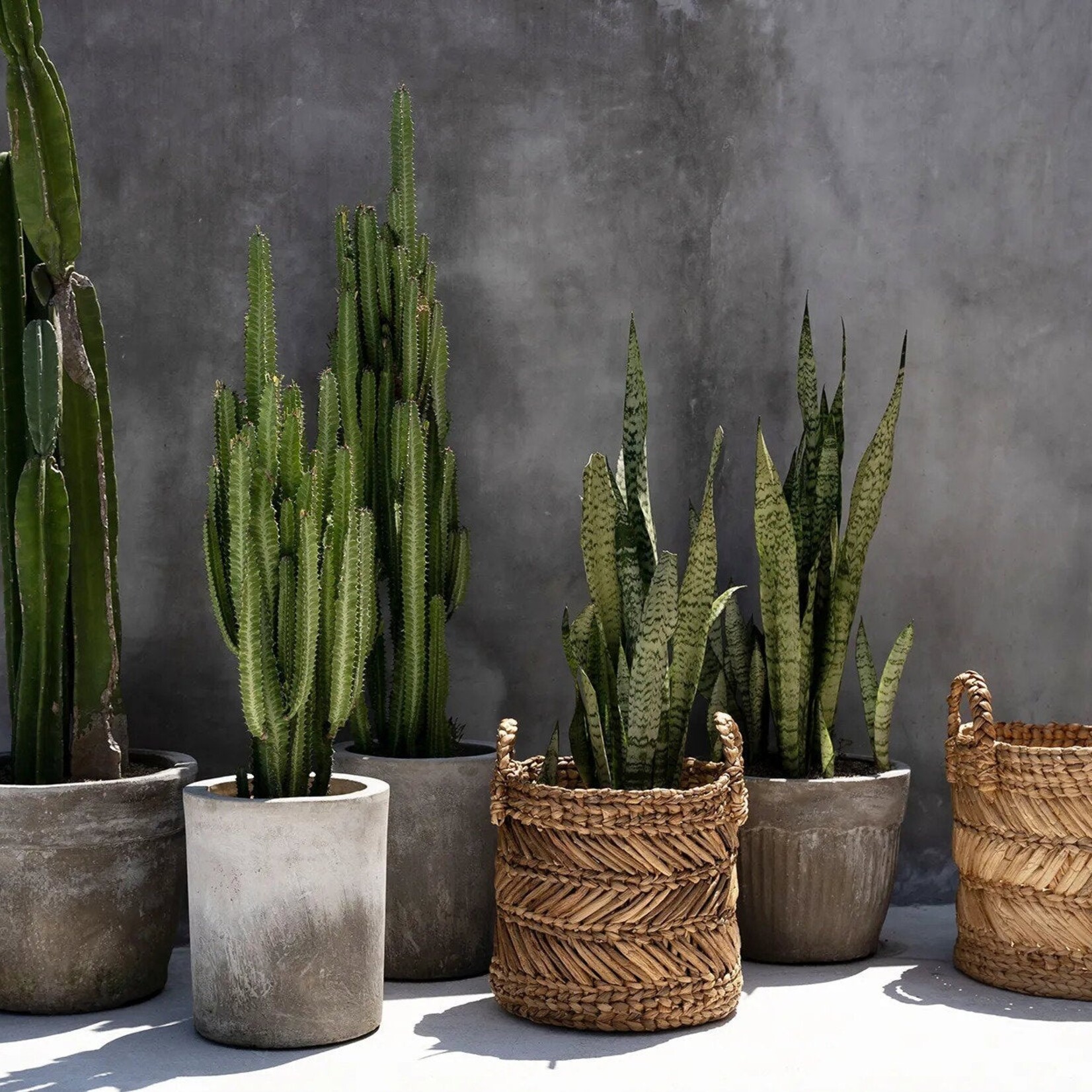 Bazar Bizar Antwerp The Banana Zigzag Basket - L