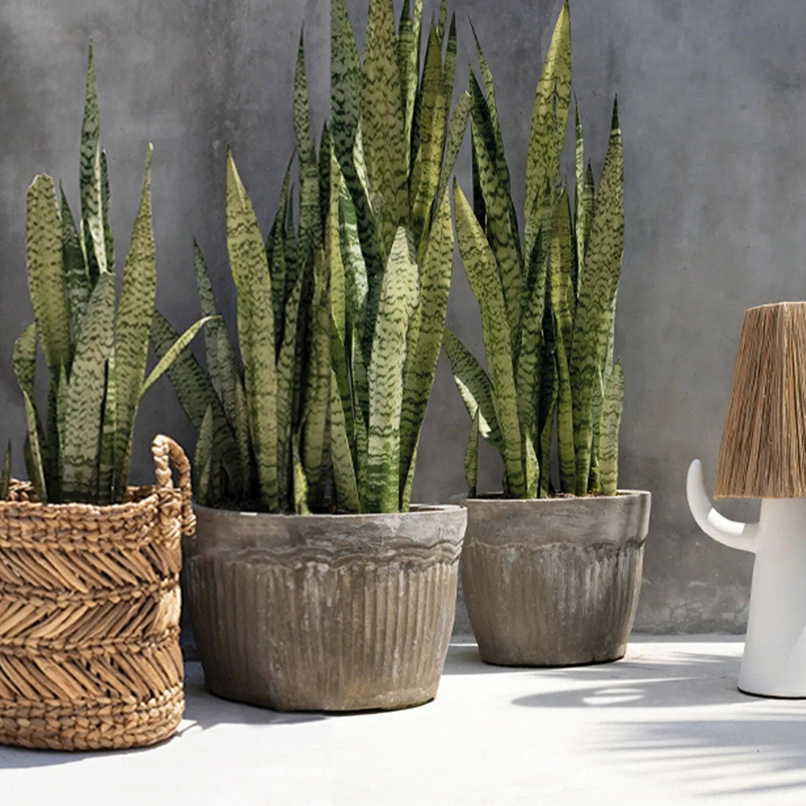 Bazar Bizar Antwerp The Banana Zigzag Basket - M