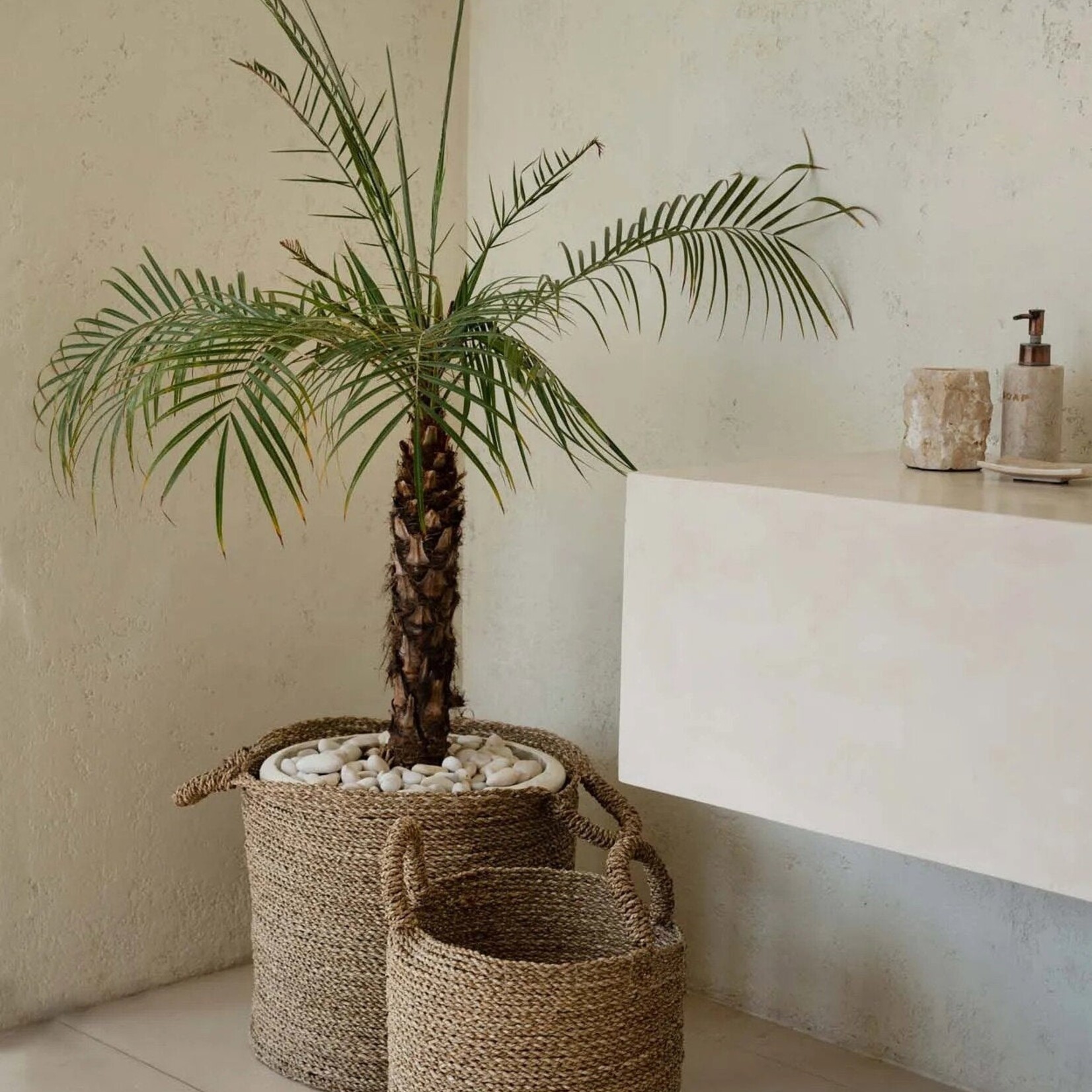 Bazar Bizar Antwerp The Sensity Baskets - Natural - XL
