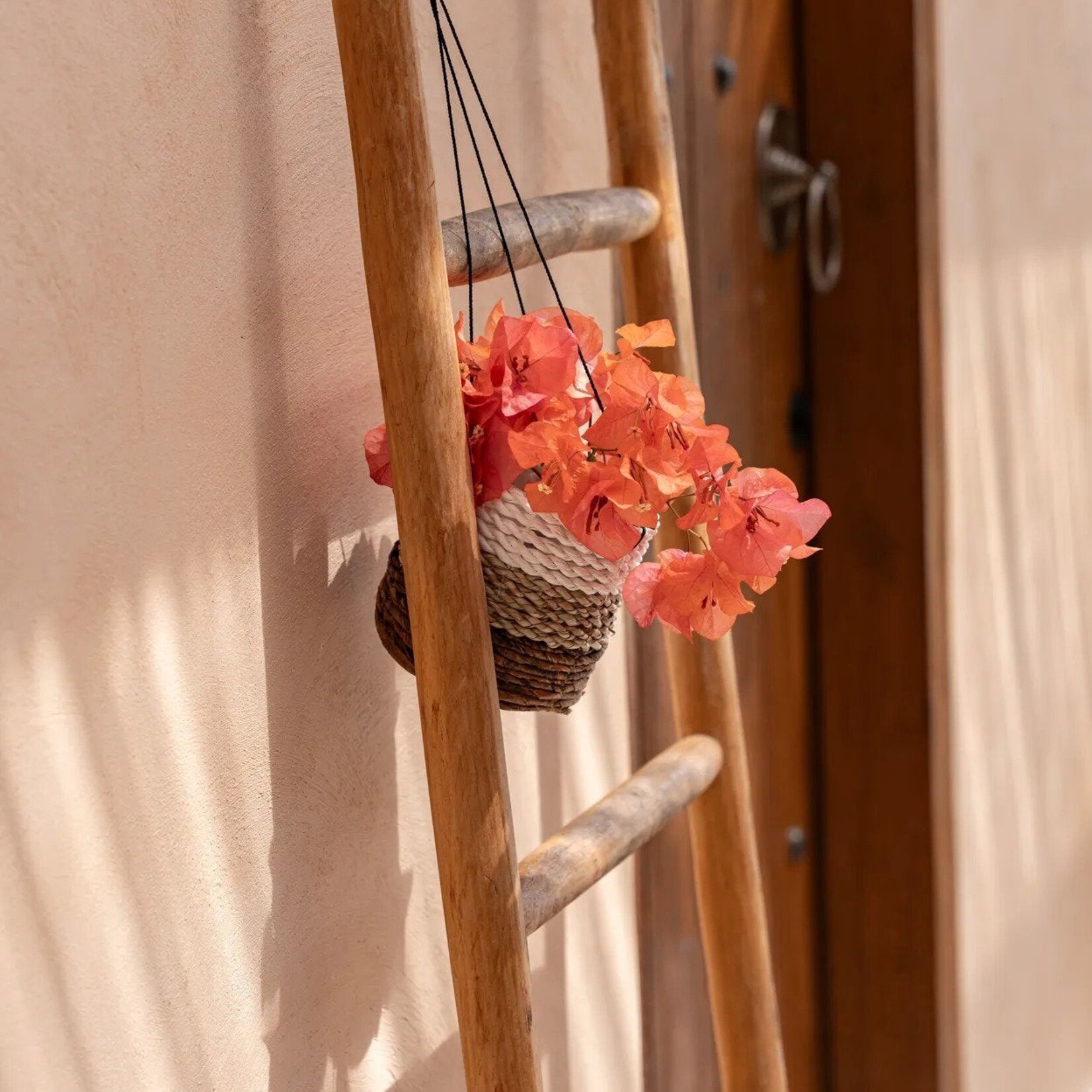 Bazar Bizar Antwerp The Banana Plant Hanger - Natural White - S