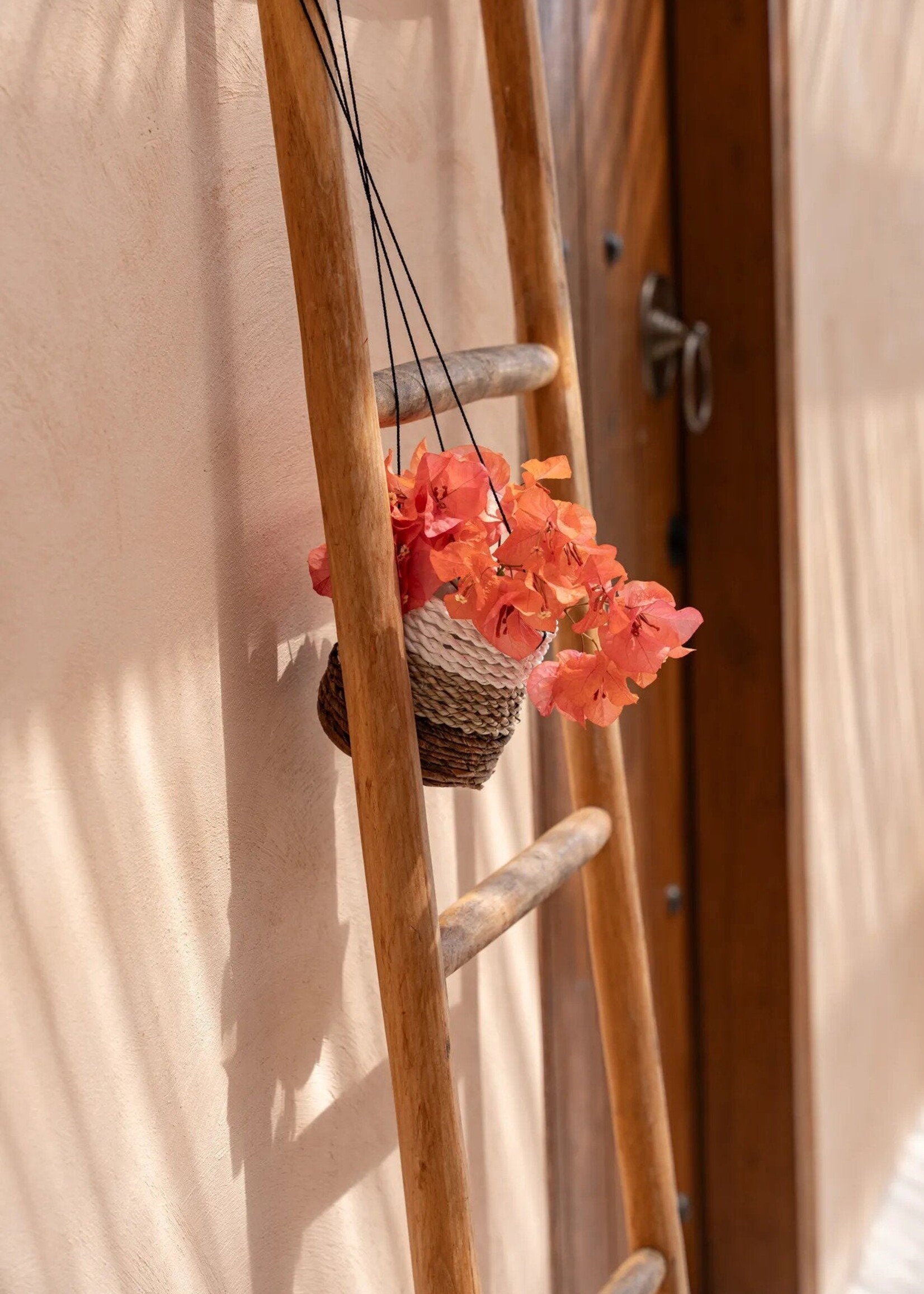 Bazar Bizar Antwerp The Banana Plant Hanger - Natural White - S