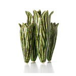 Bazar Bizar Antwerp The Tulip Leaf Vase - Forest Green