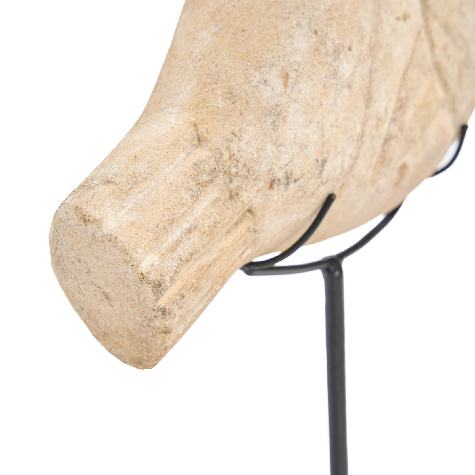 Bazar Bizar Antwerp The Fish Stone on Stand - S
