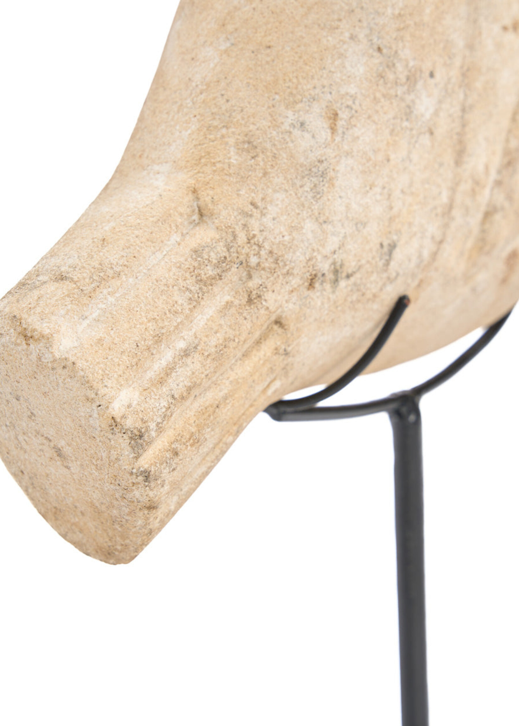 Bazar Bizar Antwerp The Fish Stone on Stand - S