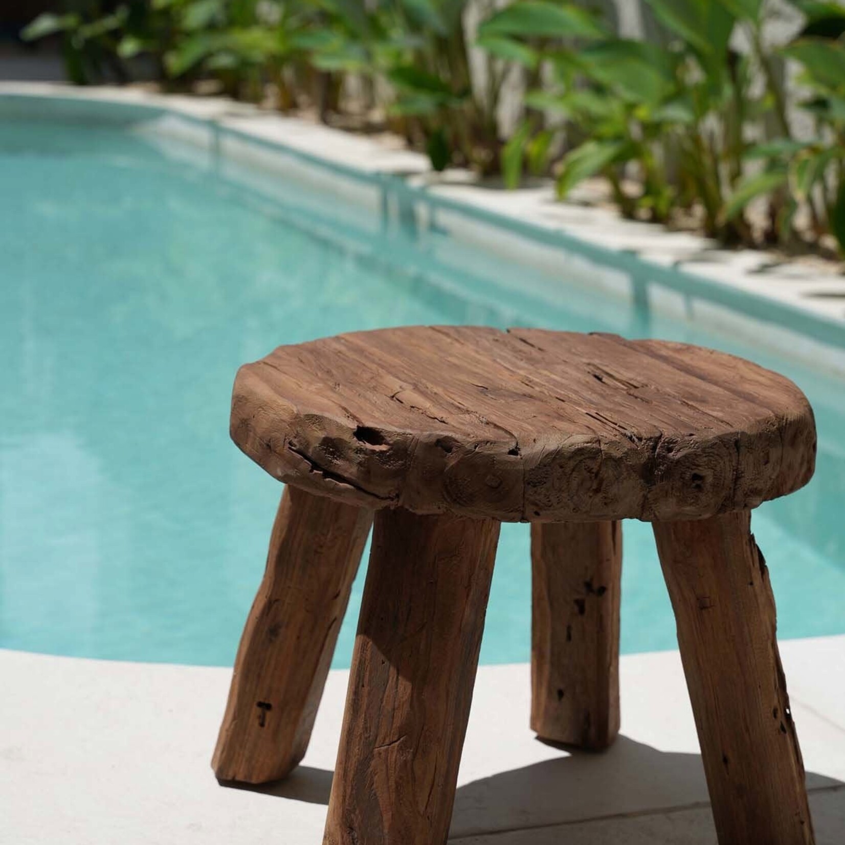 Bazar Bizar Antwerp The Marabunta Rustic Side Table - Natural