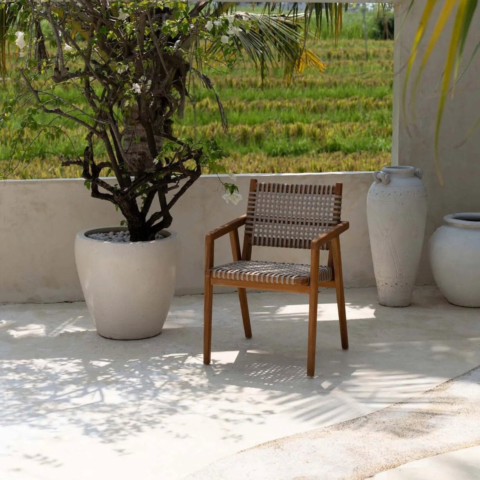 Bazar Bizar Antwerp The Trikeri Dining Chair