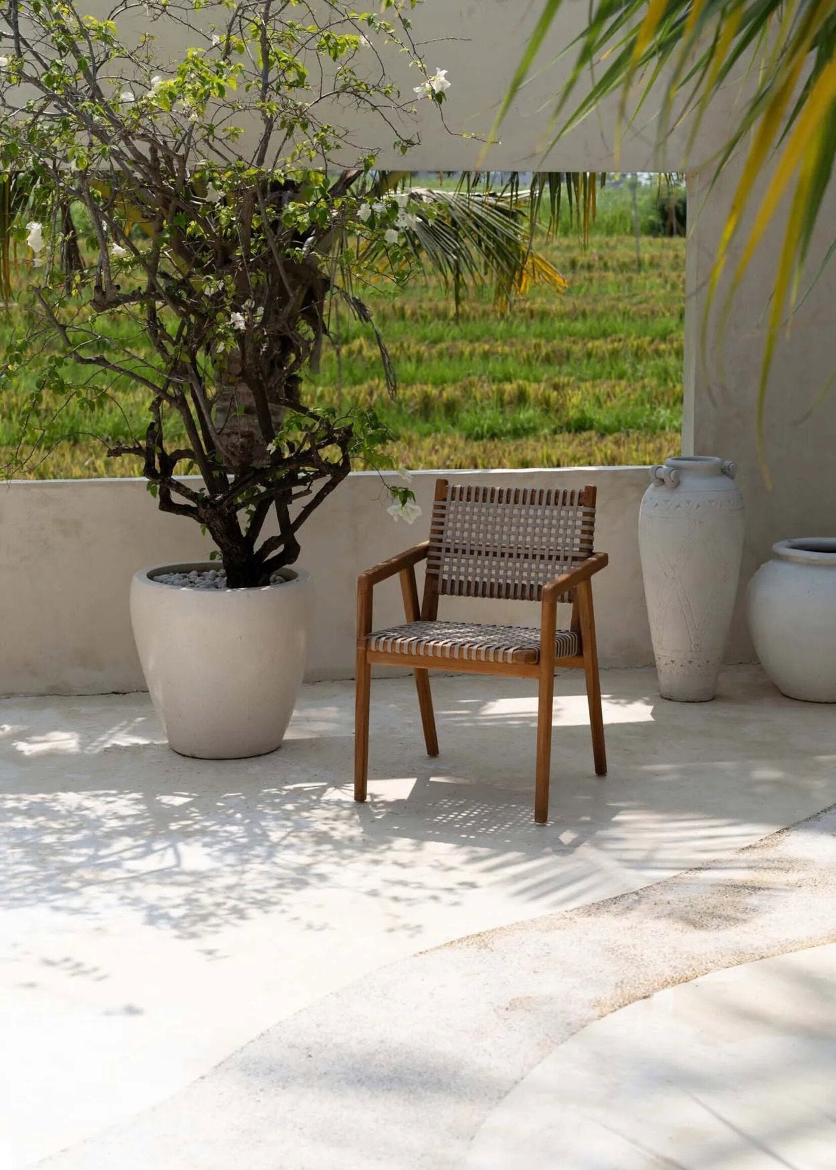 Bazar Bizar Antwerp The Trikeri Dining Chair