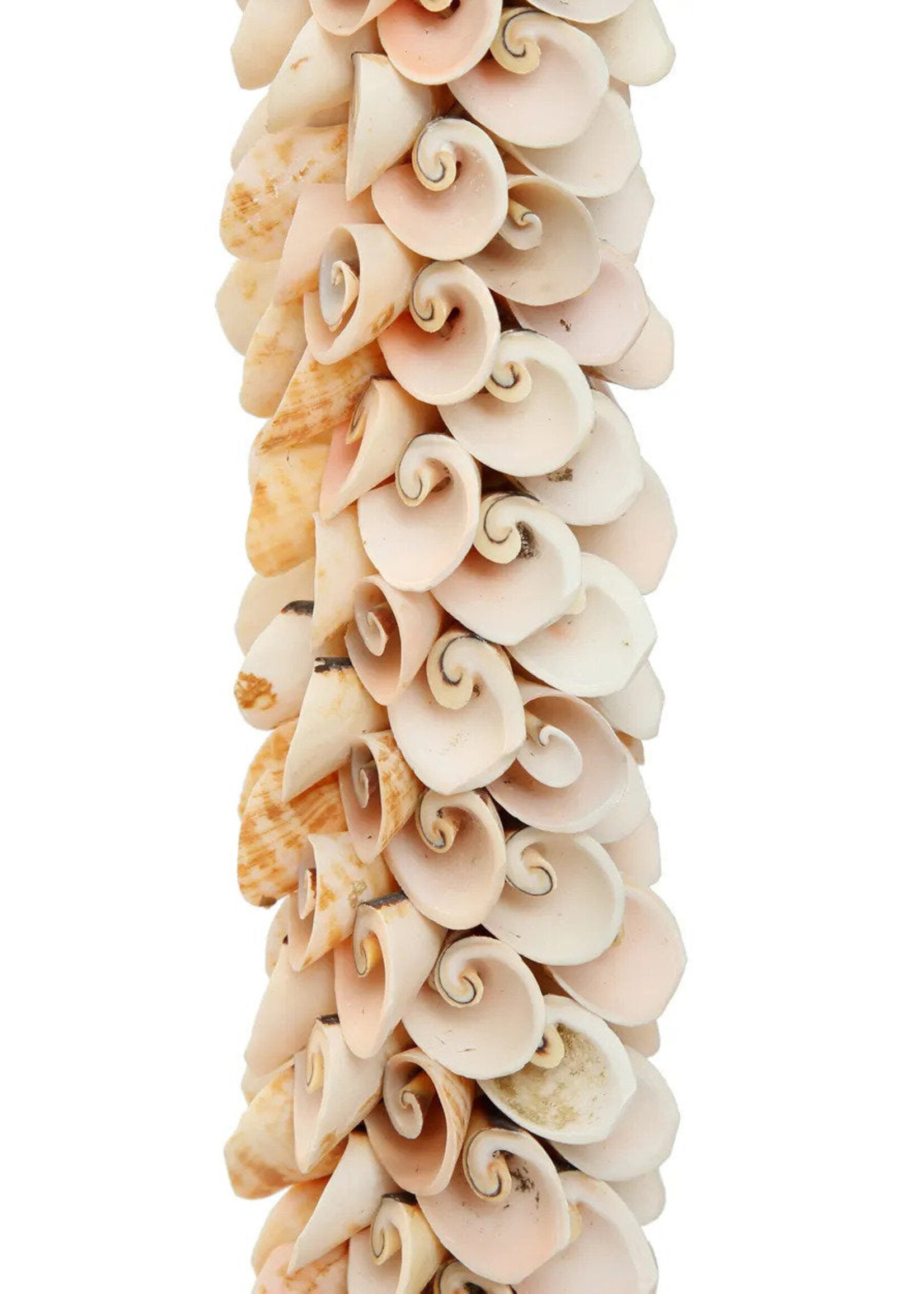 Bazar Bizar Antwerp The Shell & Cotton Tassel - Pink