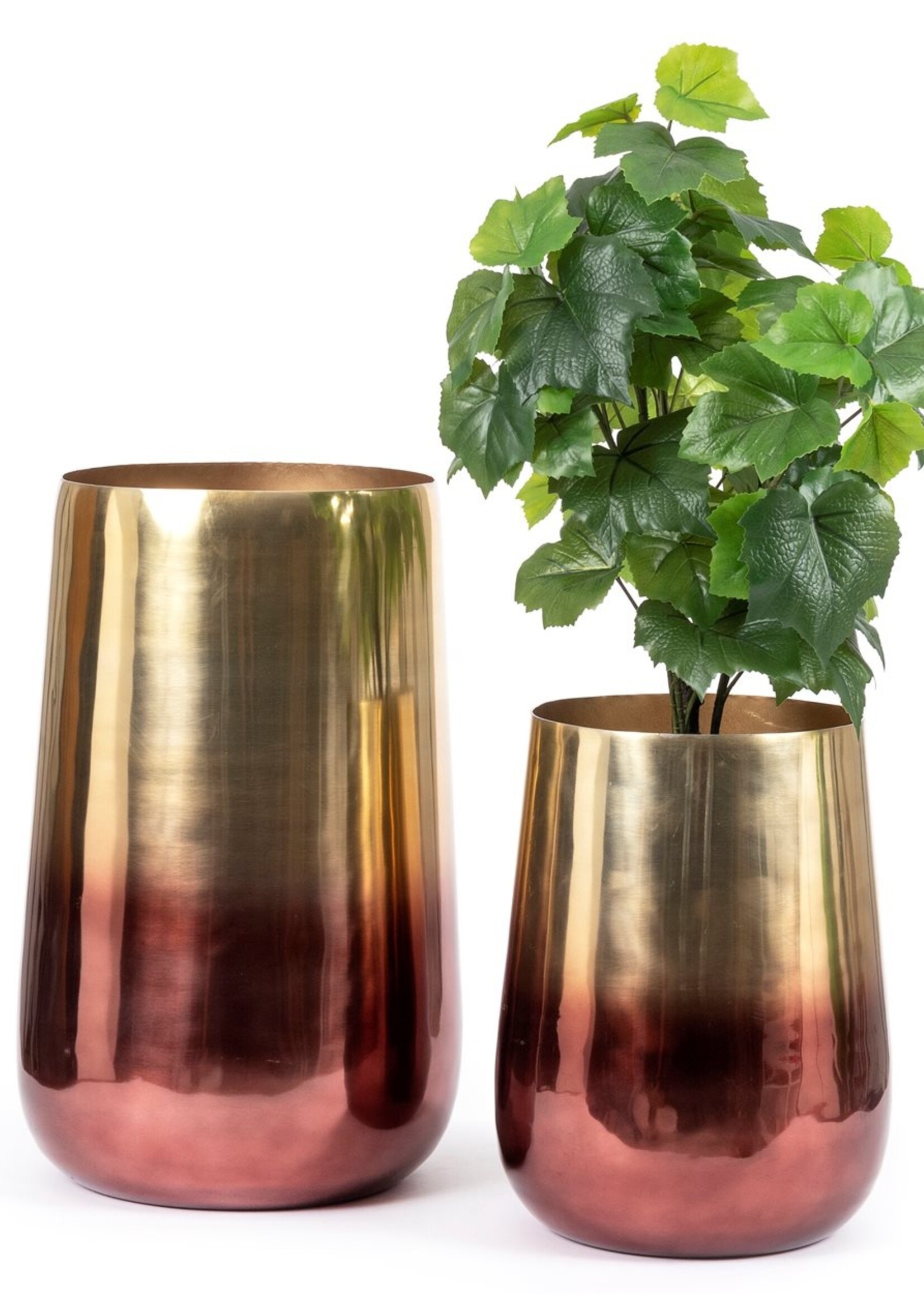 Bazar Bizar Antwerp The Two Tone Brass Planter - Brass - XL