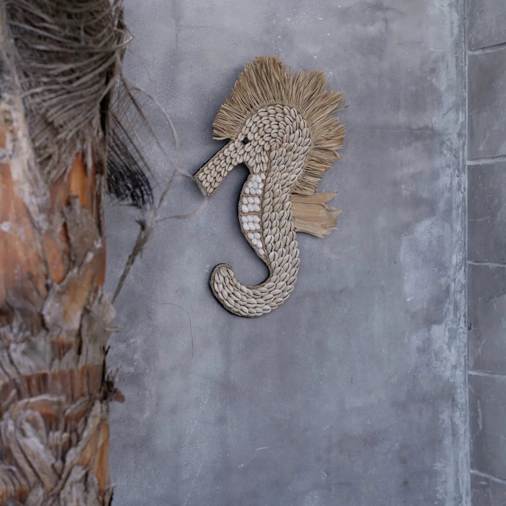 Bazar Bizar Antwerp The Shell Sea Horse - White