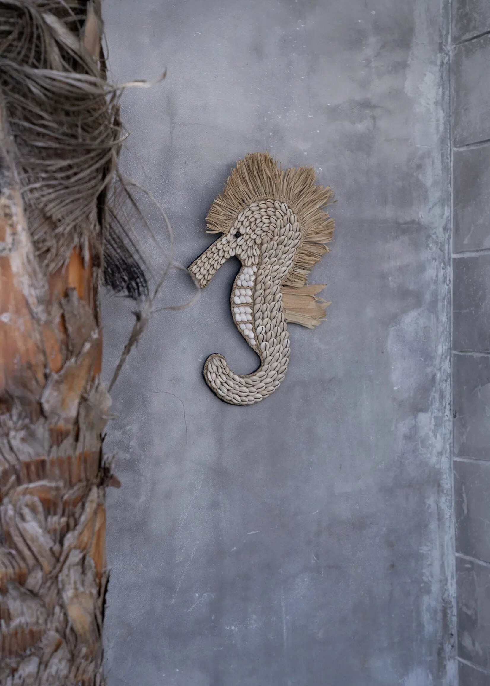 Bazar Bizar Antwerp The Shell Sea Horse - White