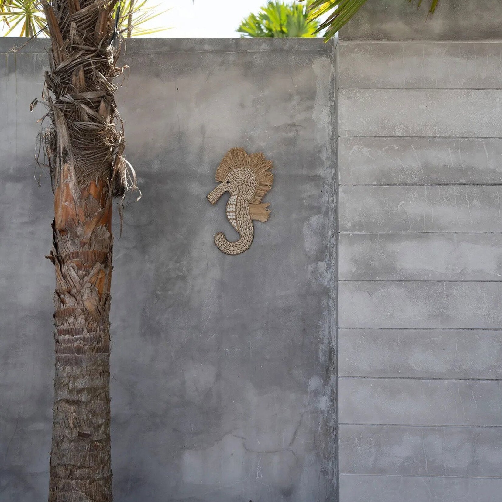 Bazar Bizar Antwerp The Shell Sea Horse - White