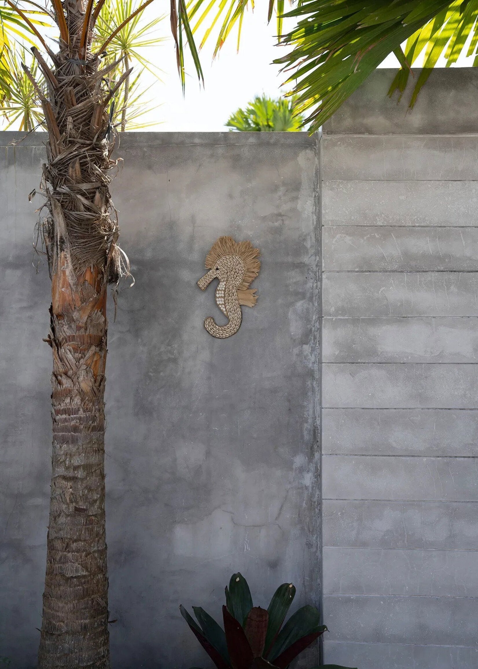 Bazar Bizar Antwerp The Shell Sea Horse - White