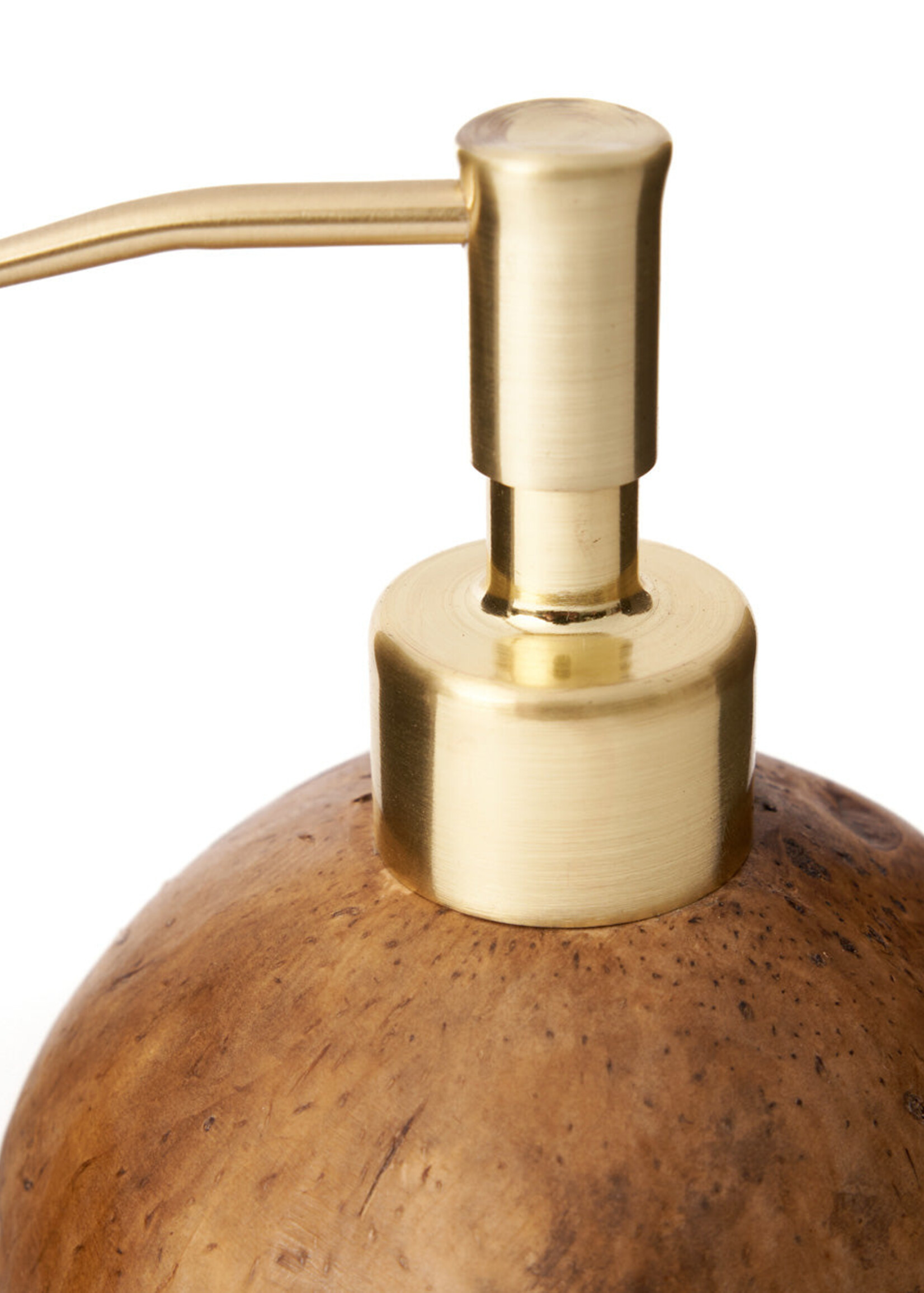 Bazar Bizar Antwerp The Coconut Soap Dispenser