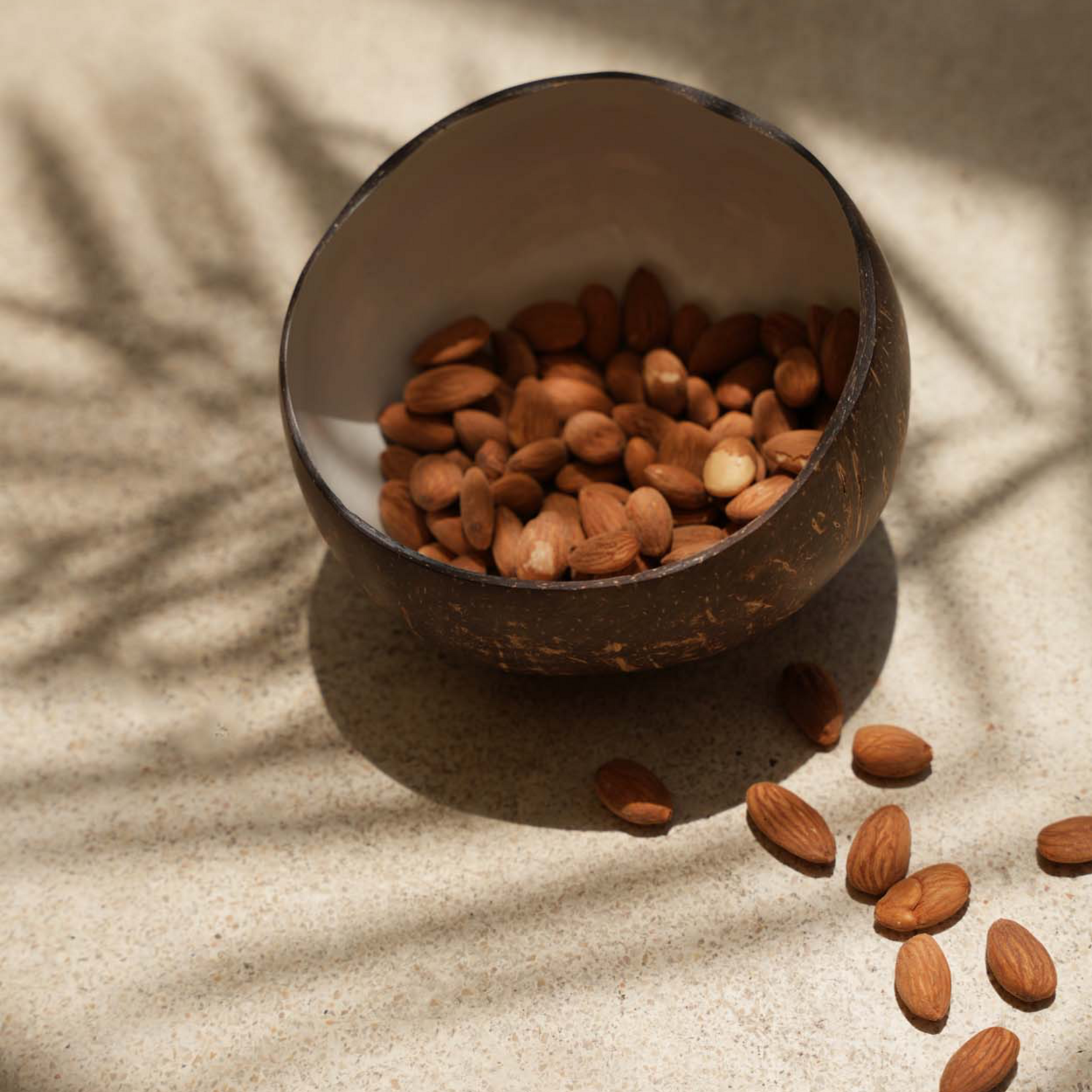 Bazar Bizar Antwerp The Coco Food Bowl - Natural White