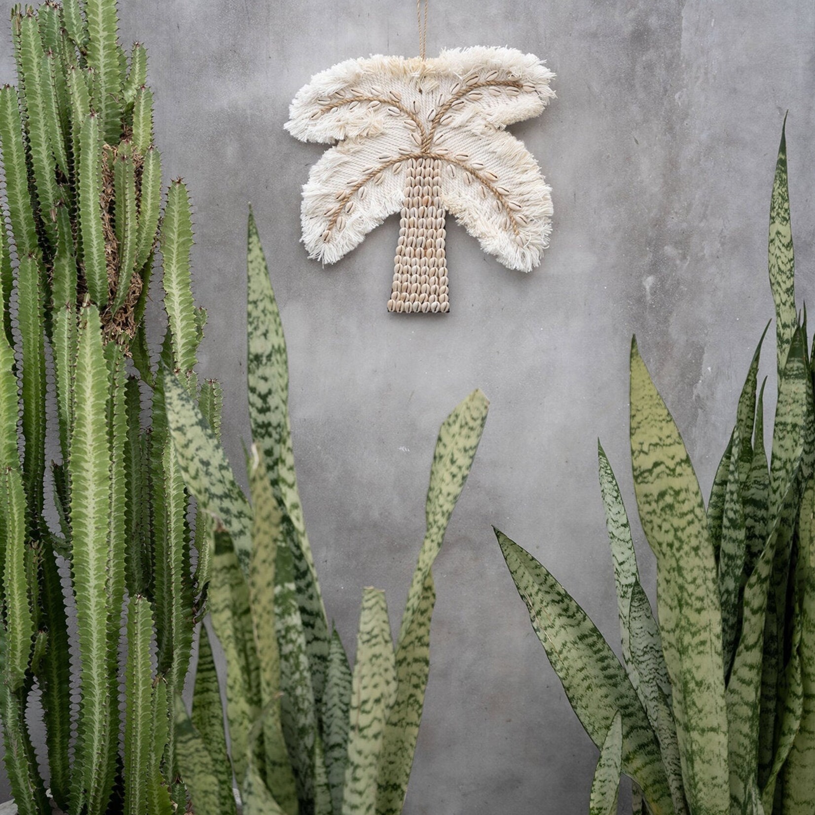 Bazar Bizar Antwerp The Cotton Shell Palm Tree - White Natural