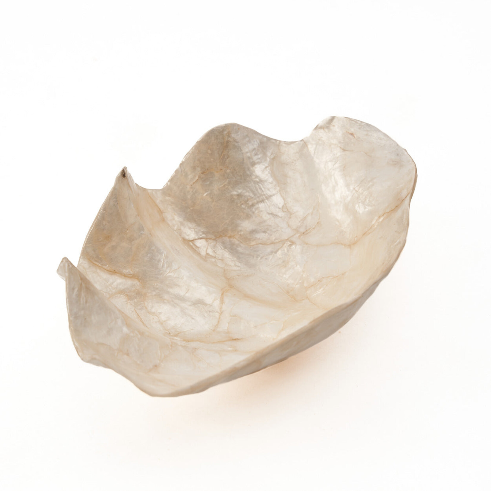 Bazar Bizar Antwerp The Mother of Pearl Soap Dish - White - S