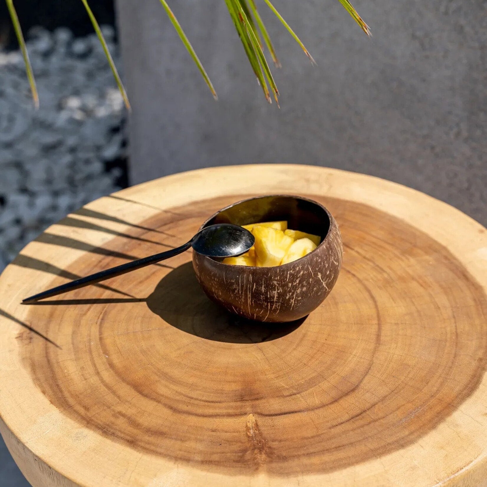 Bazar Bizar Antwerp The Coco Food Bowl - Natural Black