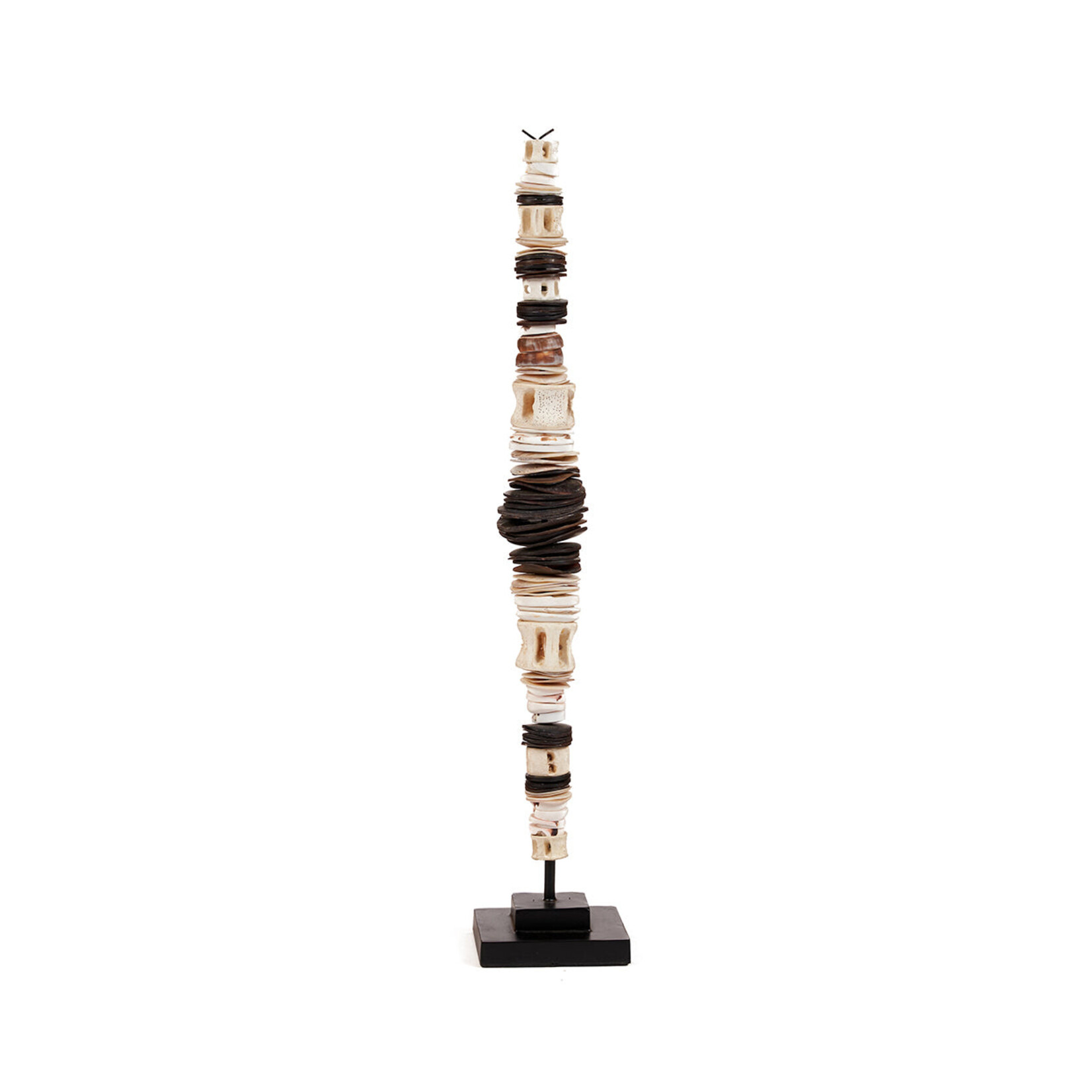 Bazar Bizar Antwerp The Money Shell on Stand - Black White - L