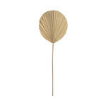 Bazar Bizar Antwerp The Rayung Leaf - Natural