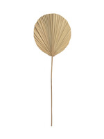 Bazar Bizar Antwerp The Rayung Leaf - Natural