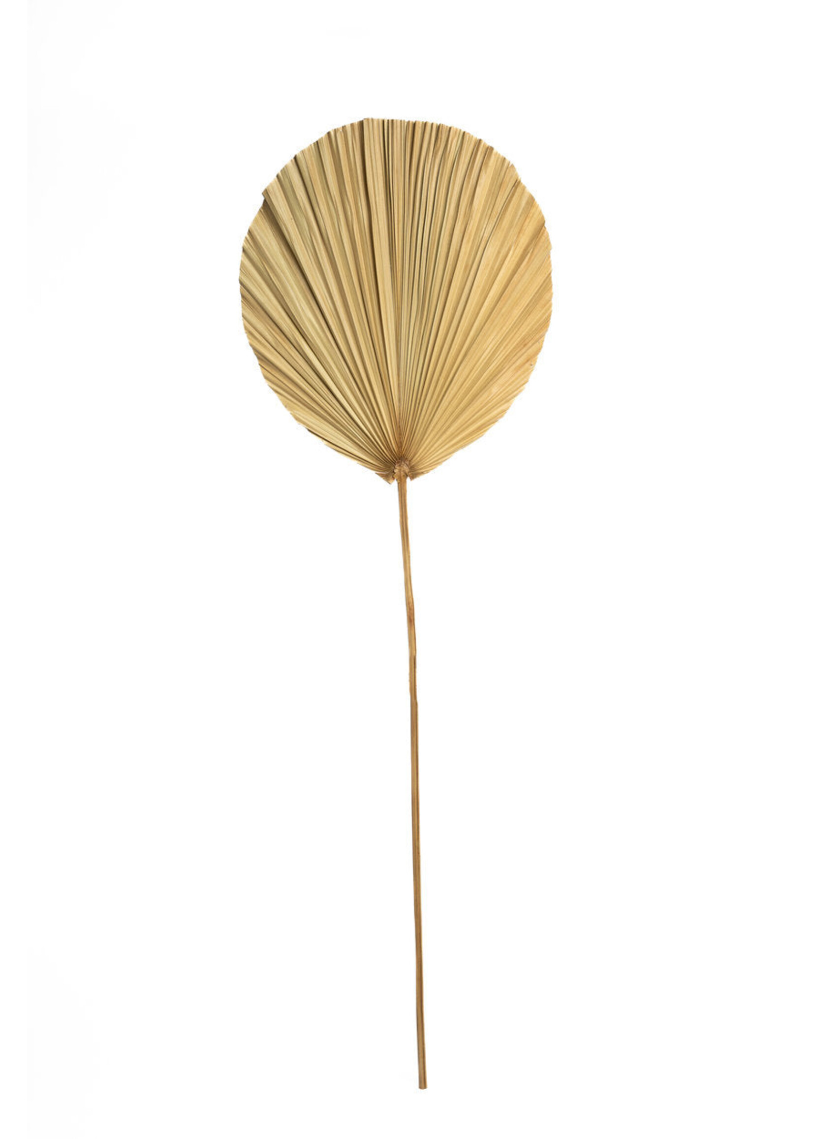 Bazar Bizar Antwerp The Rayung Leaf - Natural