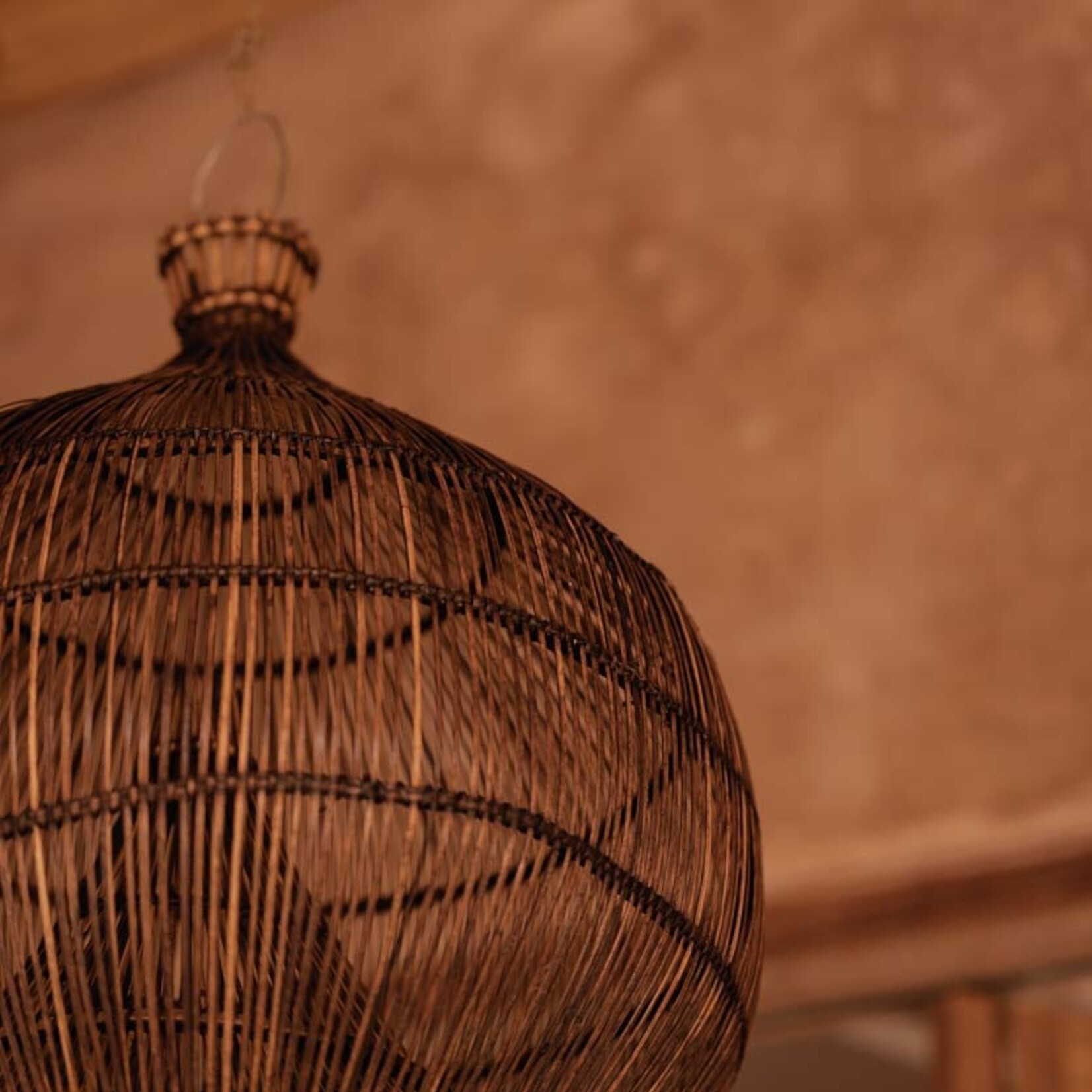 Bazar Bizar Antwerp The Desert Gourd Pendant - Dark Walnut - M