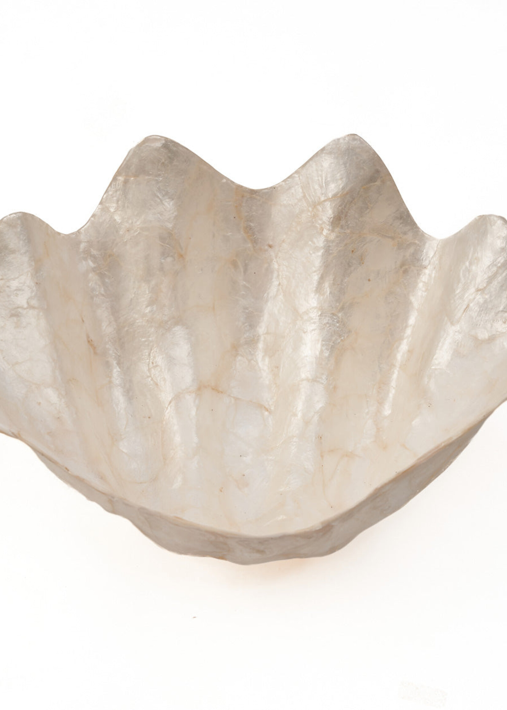 Bazar Bizar Antwerp The Mother of Pearl Soap Dish - White - M
