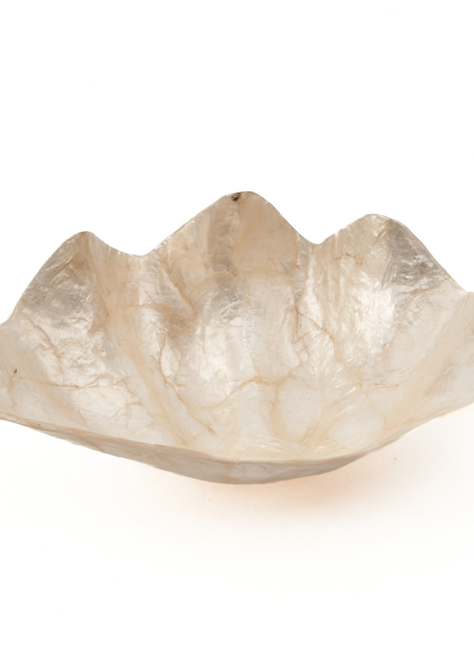 Bazar Bizar Antwerp The Mother of Pearl Soap Dish - White - M