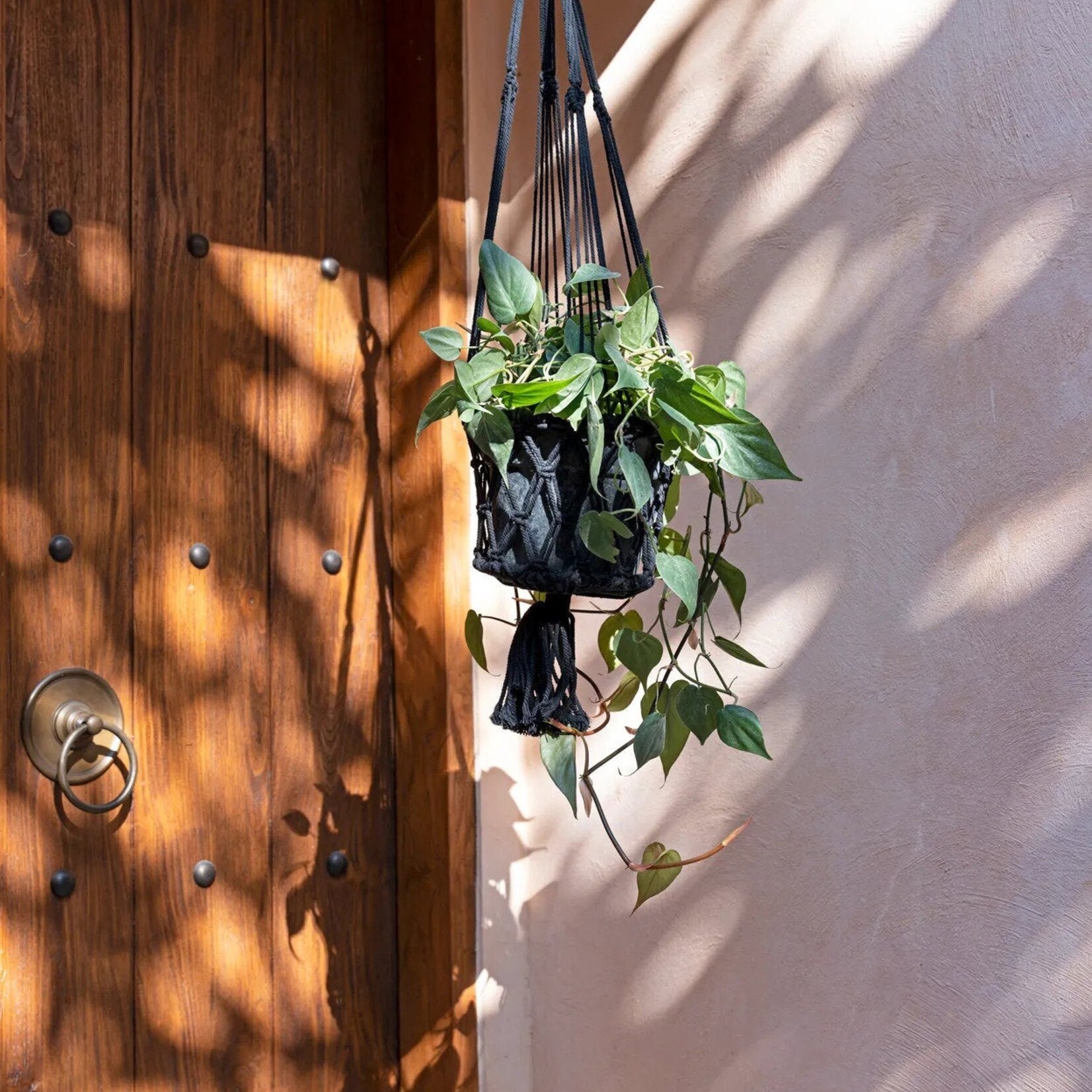 Bazar Bizar Antwerp The Macrame Plant Holder - Black - L