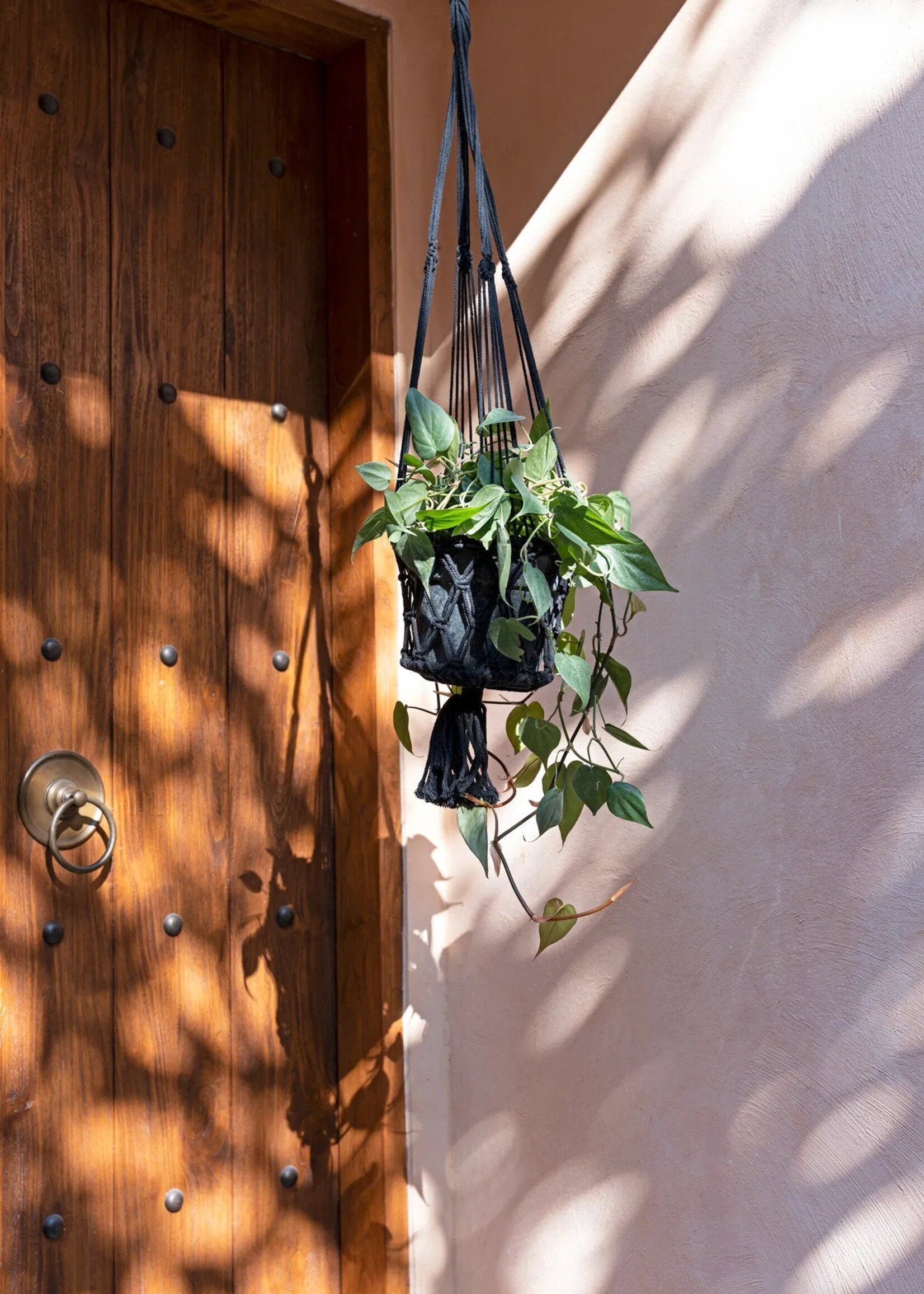 Bazar Bizar Antwerp The Macrame Plant Holder - Black - L