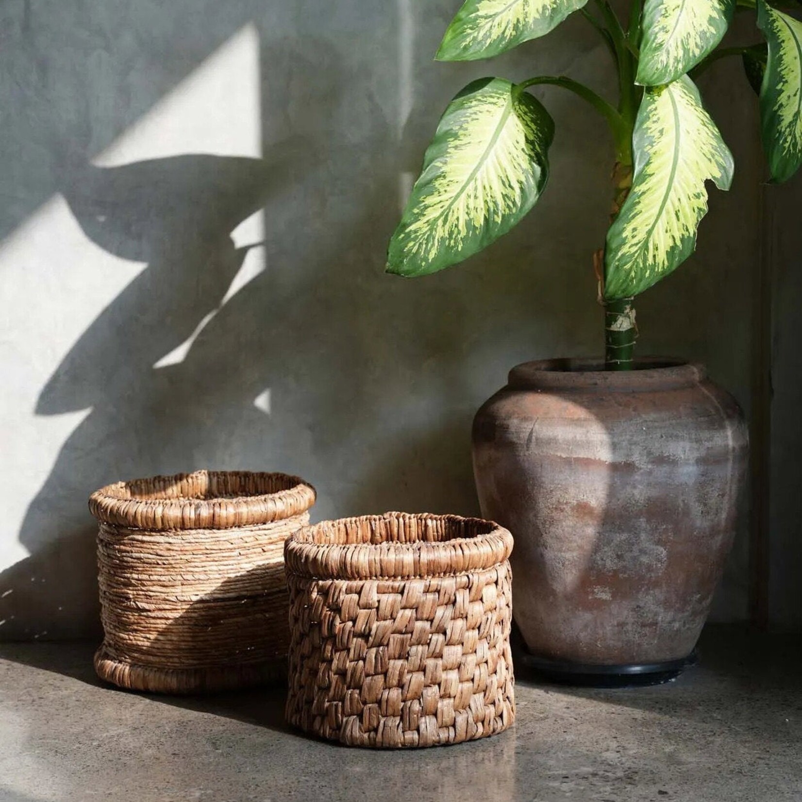 Bazar Bizar Antwerp The Choppy Basket