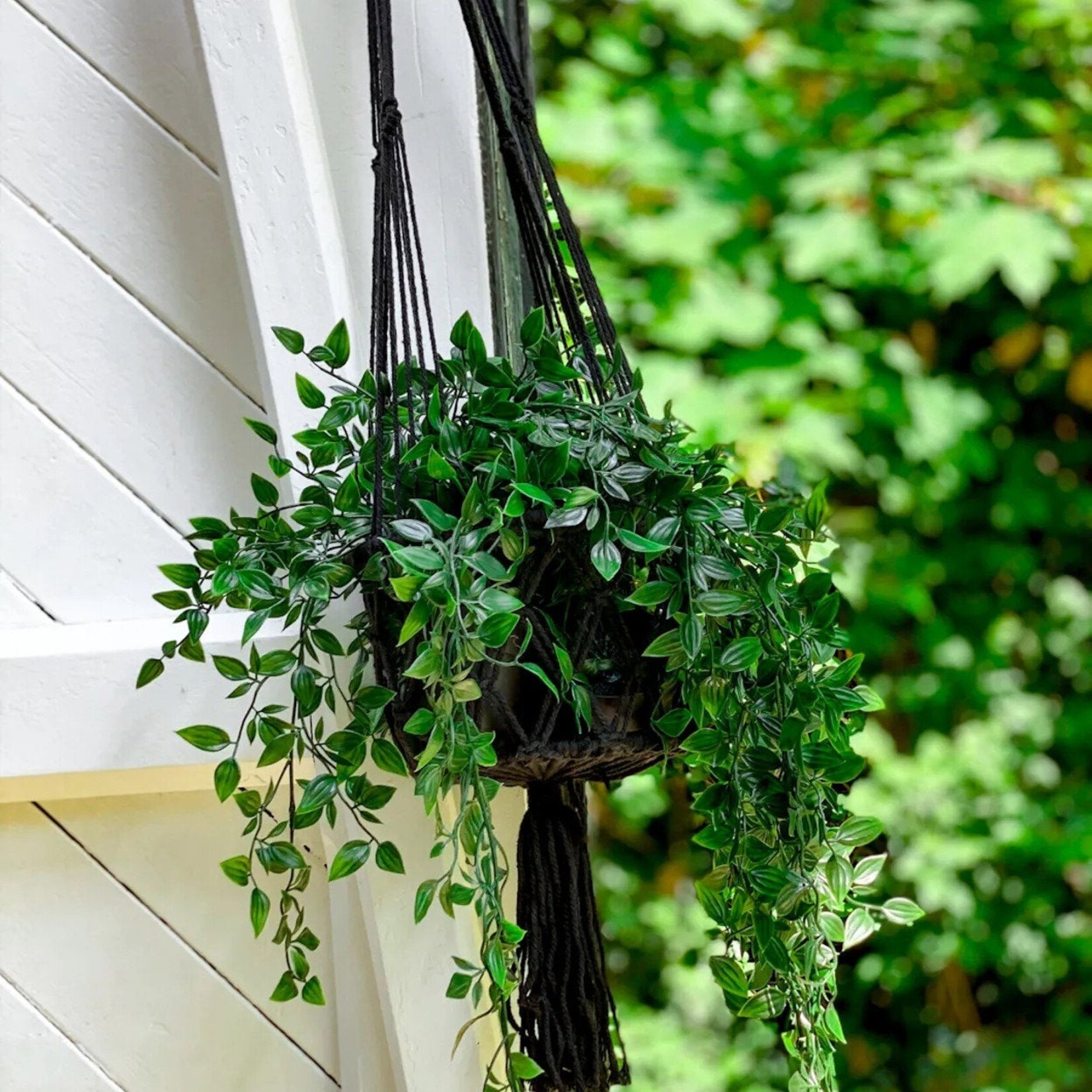 Bazar Bizar Antwerp The Macrame Plant Holder - Black - L