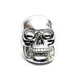 Bazar Bizar Antwerp The Resin Skull Head Silver M